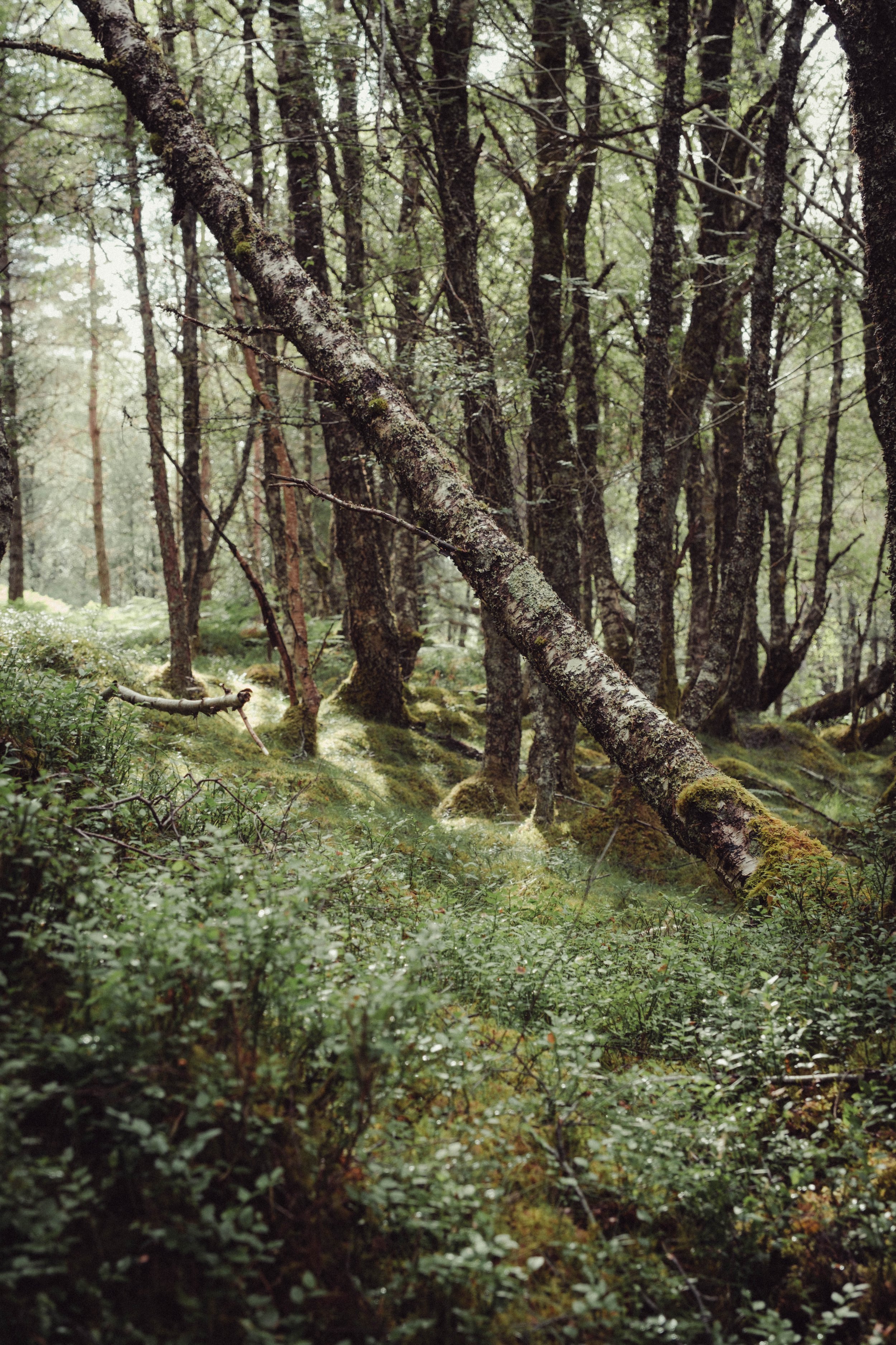 DSCF1030.jpg