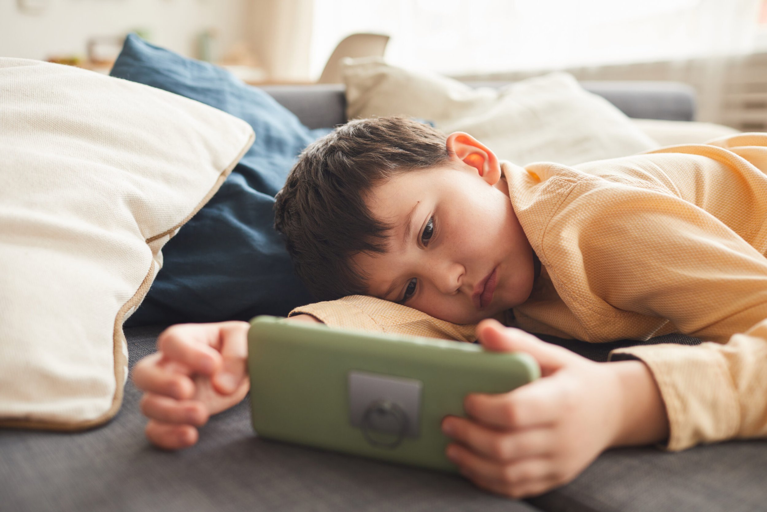 Safeguarding Children Online