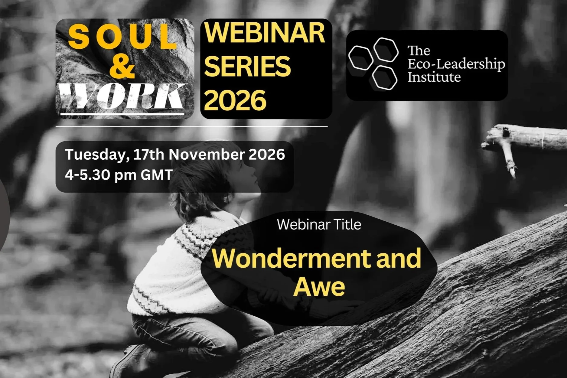 Wonderment and Awe | Leslie Brissett | Online Webinar
