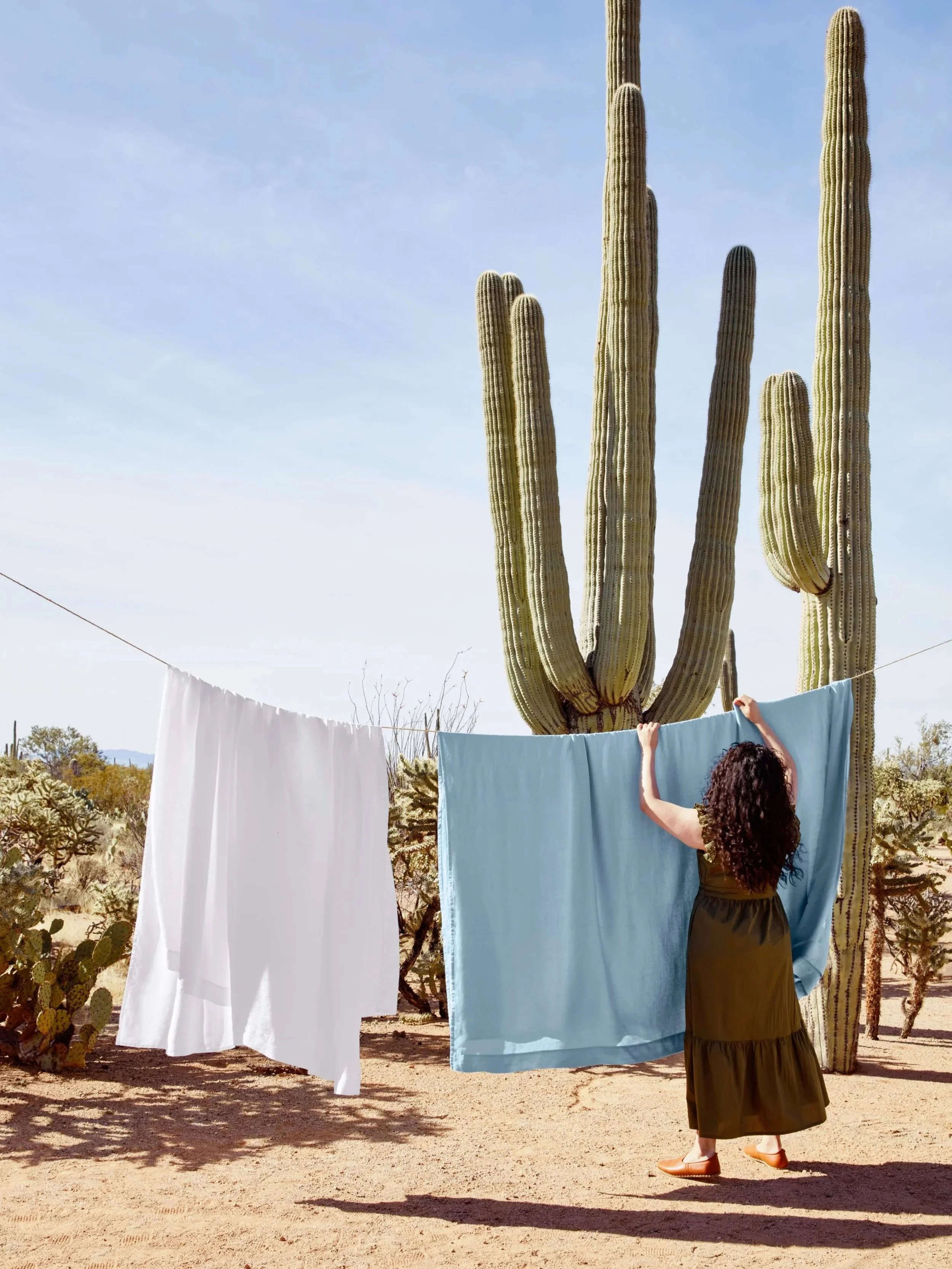 Designed in the Desert