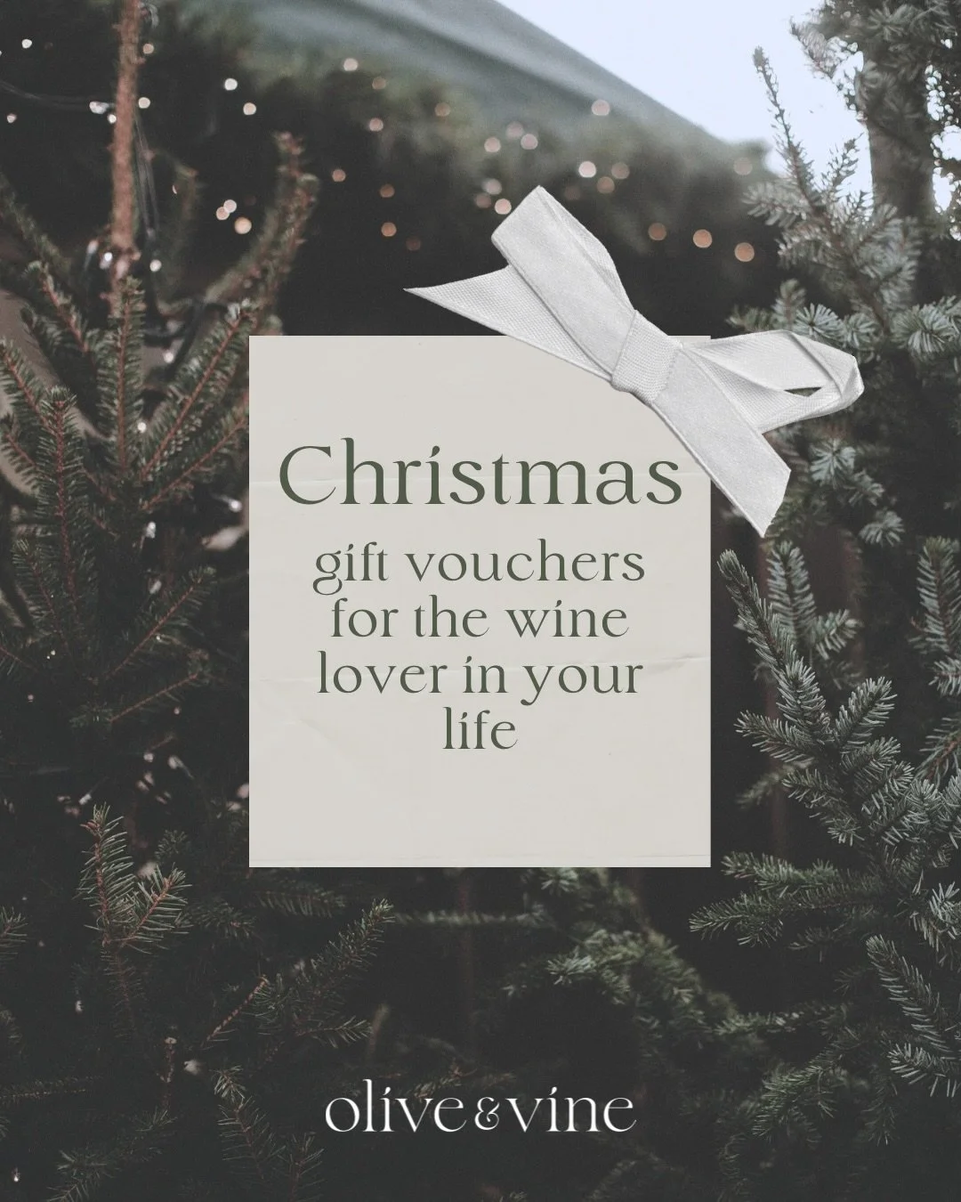 Searching for the perfect Christmas gift for the wine lover in your life? 🍷✨

💕Give an experience they&rsquo;ll remember forever:

🍷A private wine tasting in the comfort of your home, guided by your personal sommelier for the evening

🧀Lux grazin