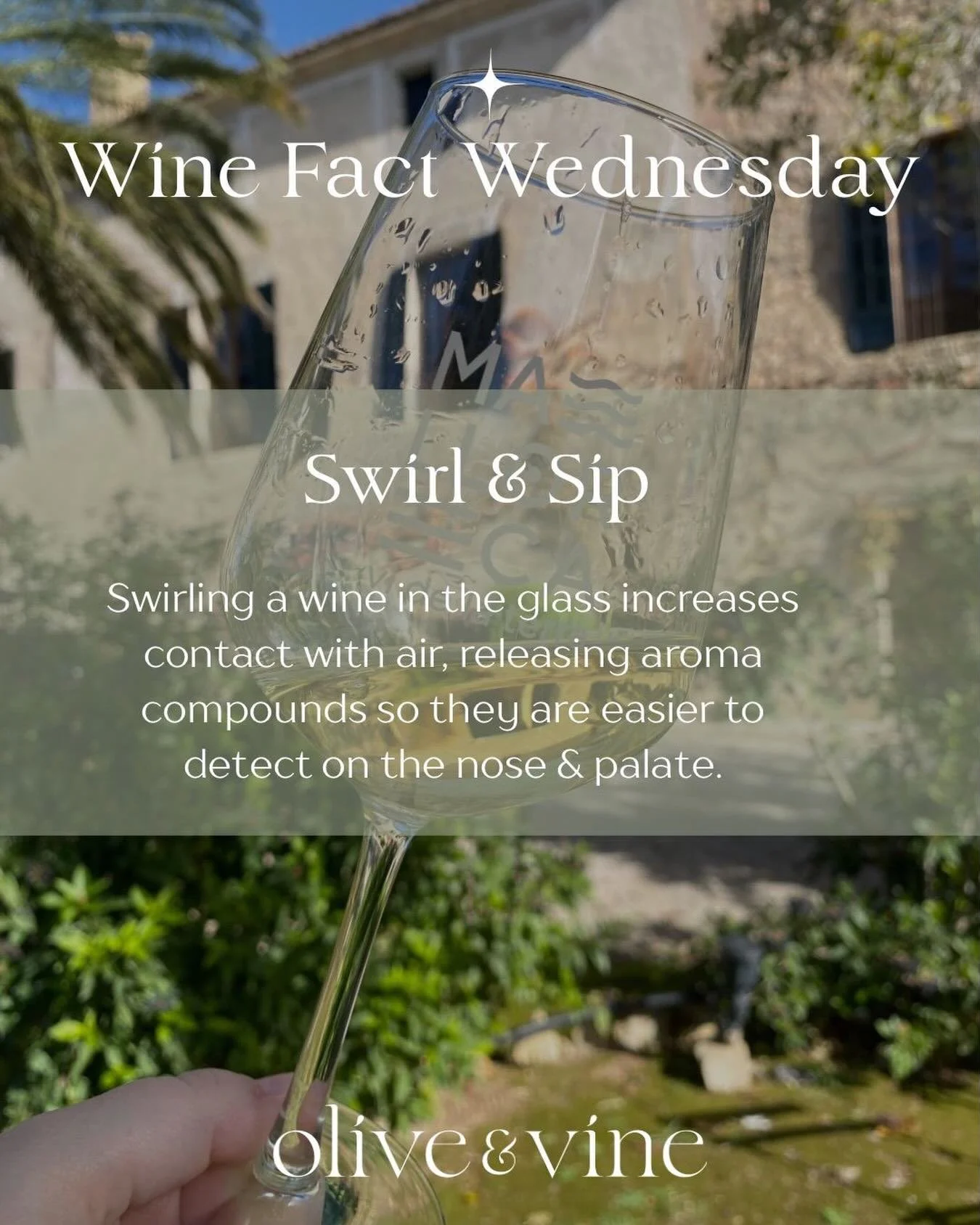 🍷 Why Do We Swirl Wine Before Tasting?

Ever wondered why wine experts swirl their glass before taking a sip? It&rsquo;s not just for show! 

Swirling the wine increases its contact with air, helping release aromas and enhancing your ability to dete