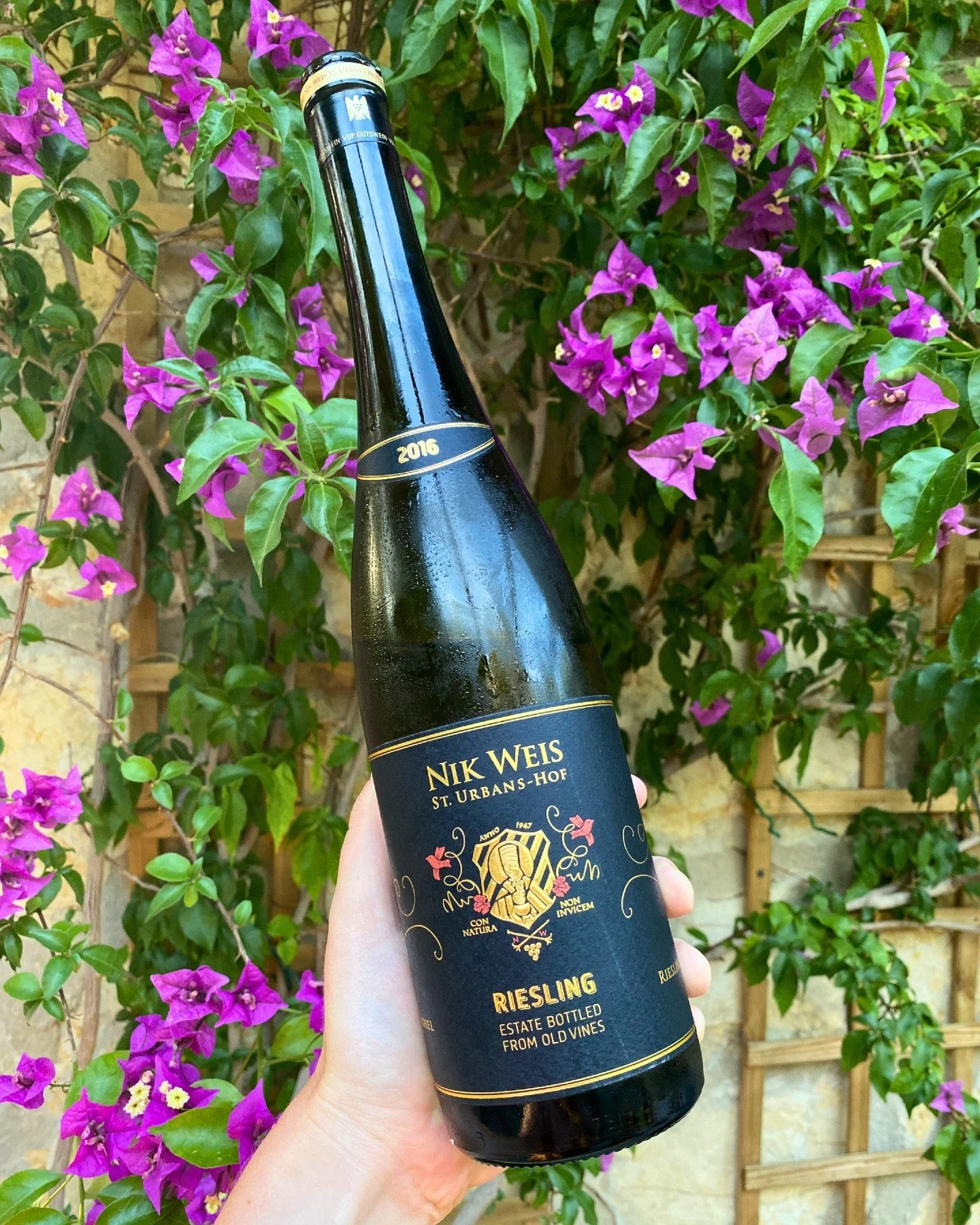 Bottle of the Month 🍇

We&rsquo;re kicking off a new series where we share the wines we genuinely love, drink and recommend time and time again.

First up&hellip;

Nik Weis St Urbans Hof Riesling (Old Vines)

This is a seriously elegant Riesling com