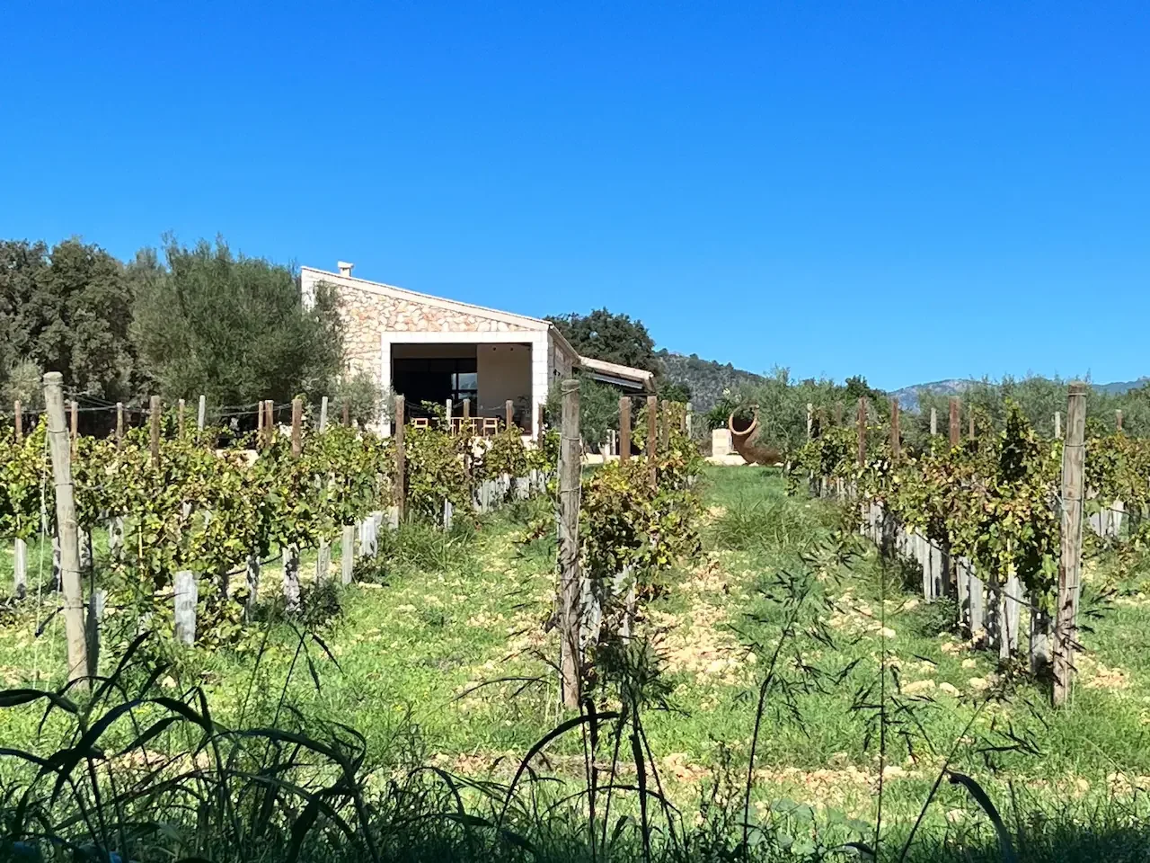 Front of a winery where we can bring people for tastings
