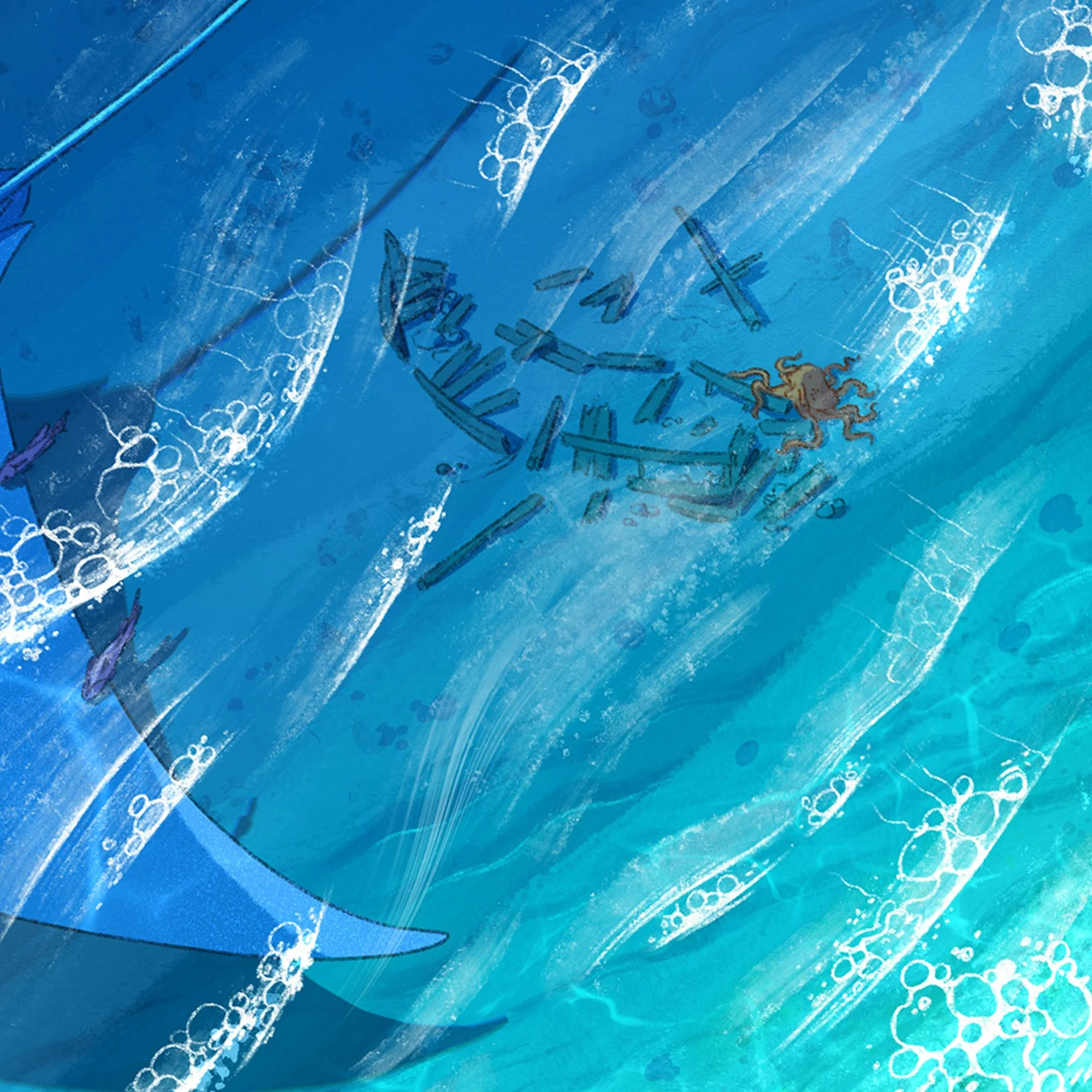 manta_close_up_02.jpg