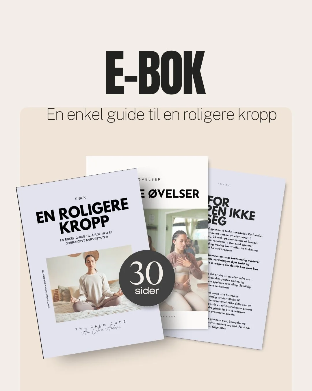 E-bok bilde nettside.jpg