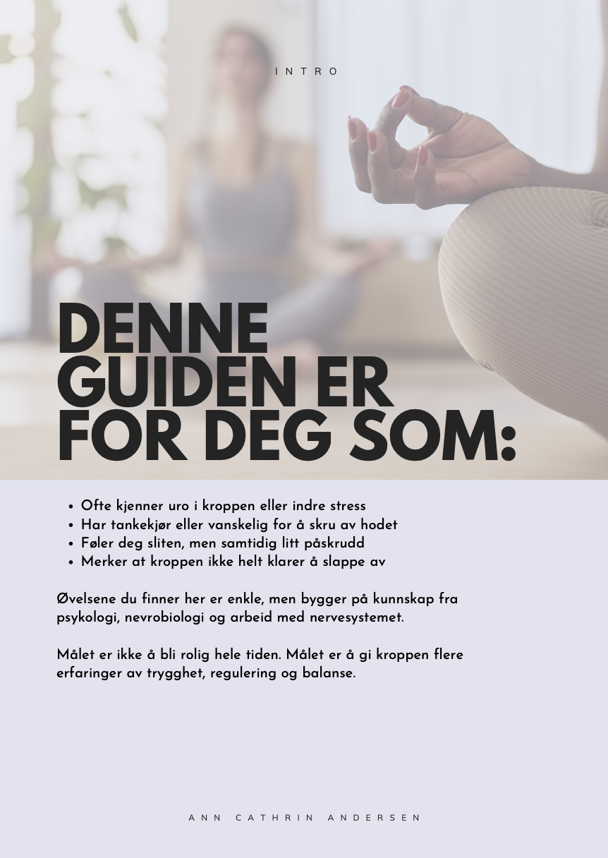 Skjermbilde 2026-03-23 kl. 10.36.28.png