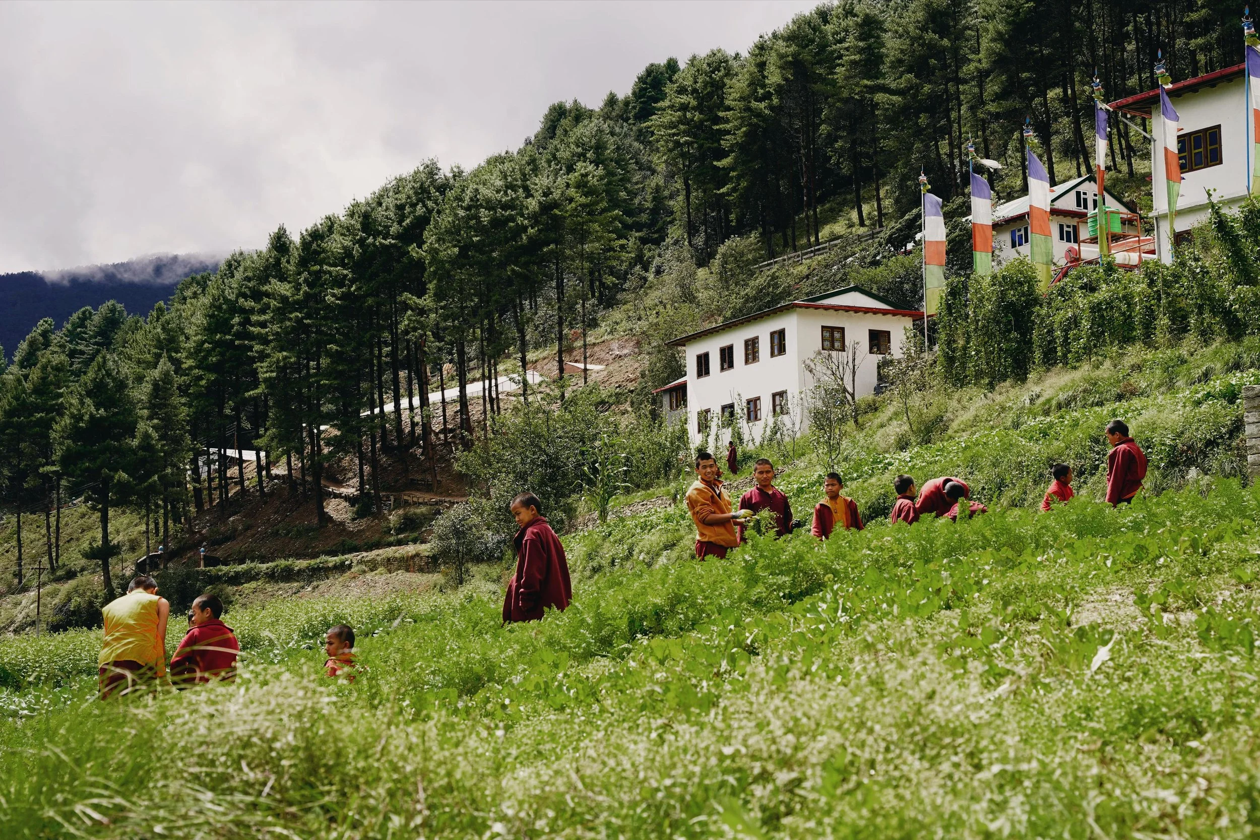 Reclaim Yourself Retreats in Nepal00052.jpeg