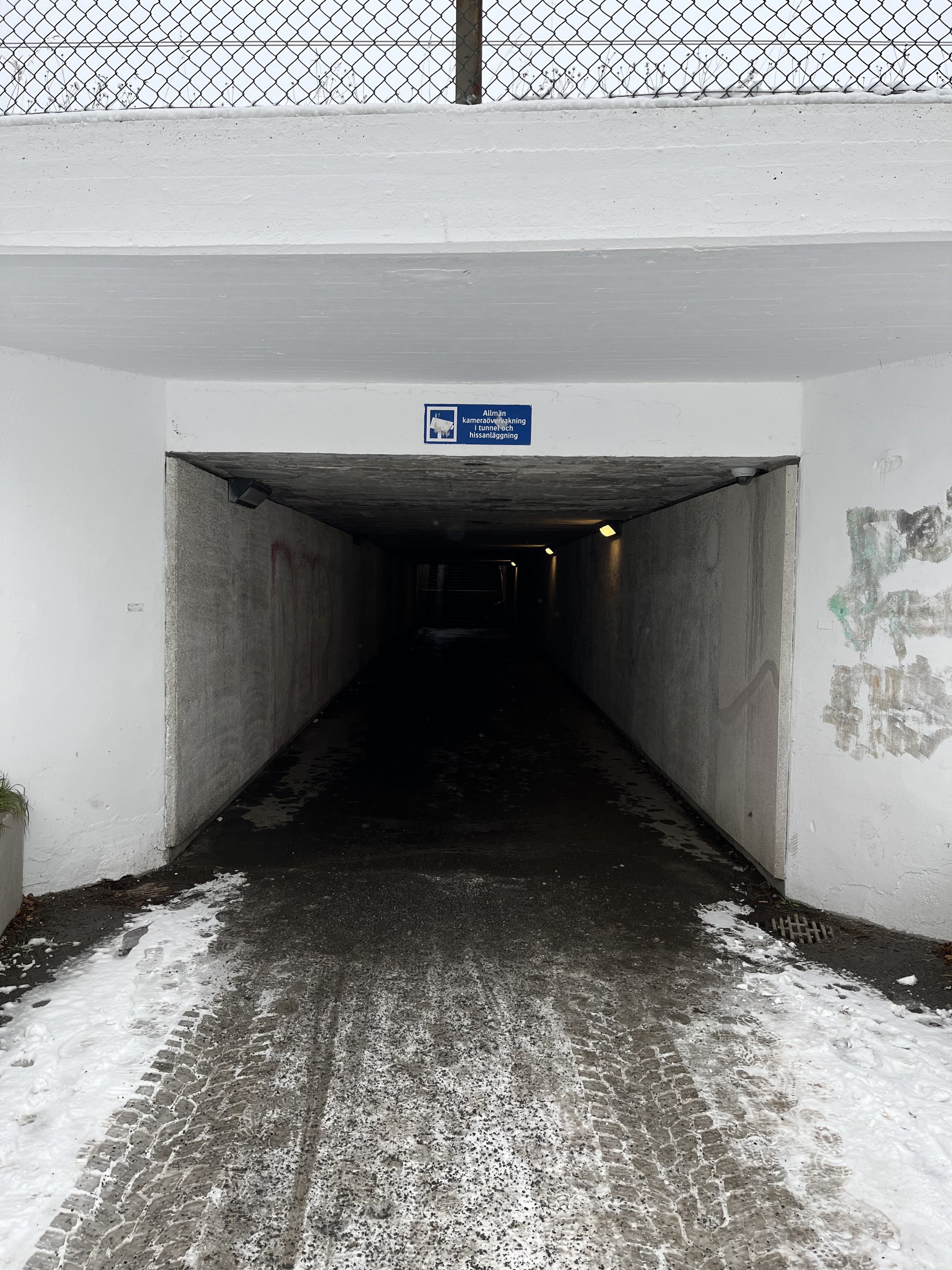 IMG_4922.jpeg