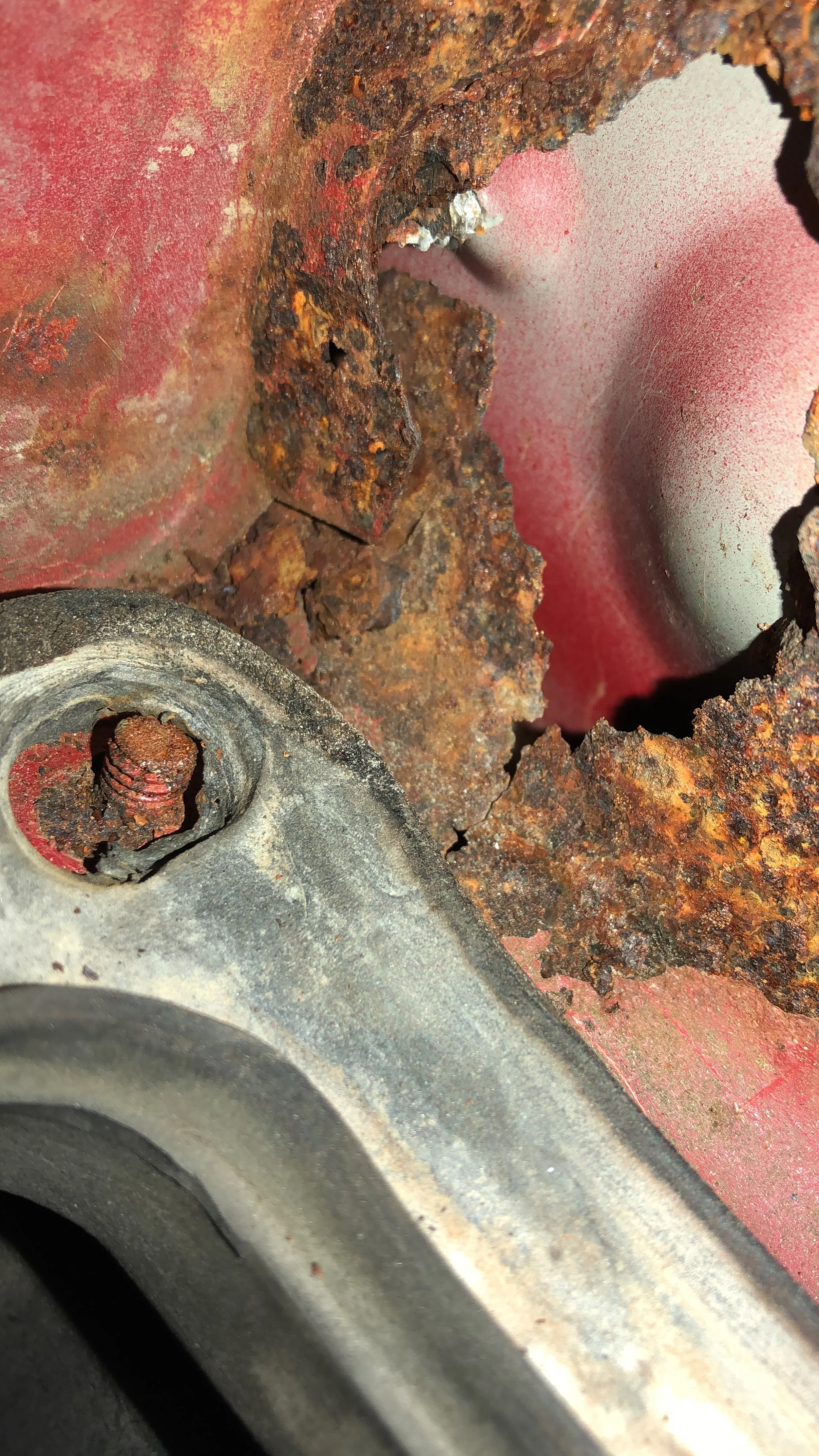 1FB2D912-6178-41C7-AF4E-9E8D32EA61B5 (1).jpeg