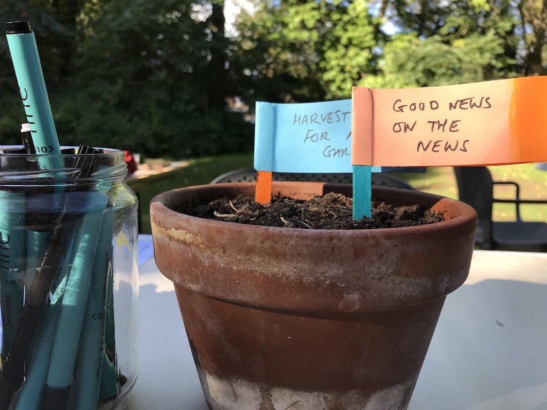 Seeds-of-hope.jpeg