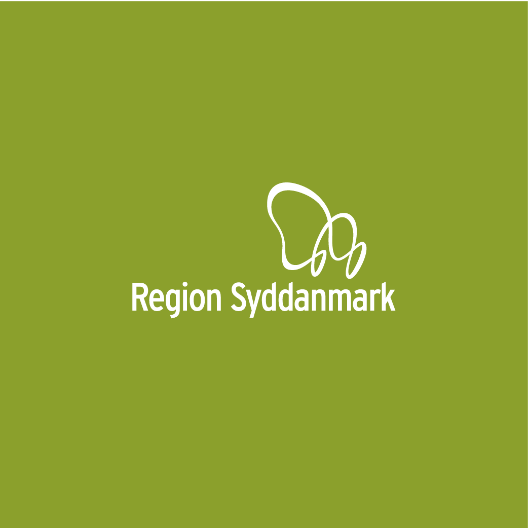The use of FirstAgenda spread quickly in the Region of Southern Denmark