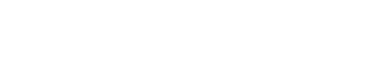 Det officielle Visma-logo i hvid