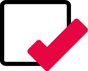 Icon with a square and a red checkmark