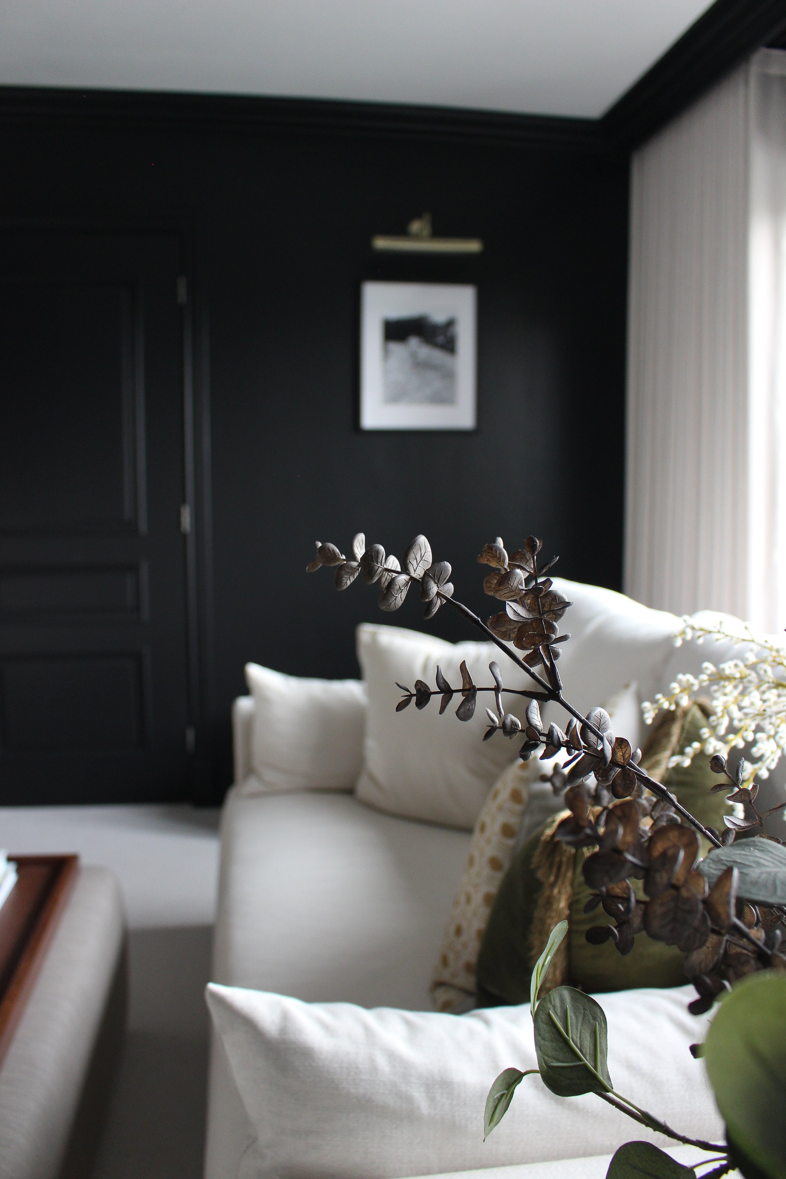 A living room with white sofas, dark walls, and a window with curtains. A framed black-and-white photograph hangs on the wall. There are decorative pillows and a plant with brown and green leaves in the foreground.