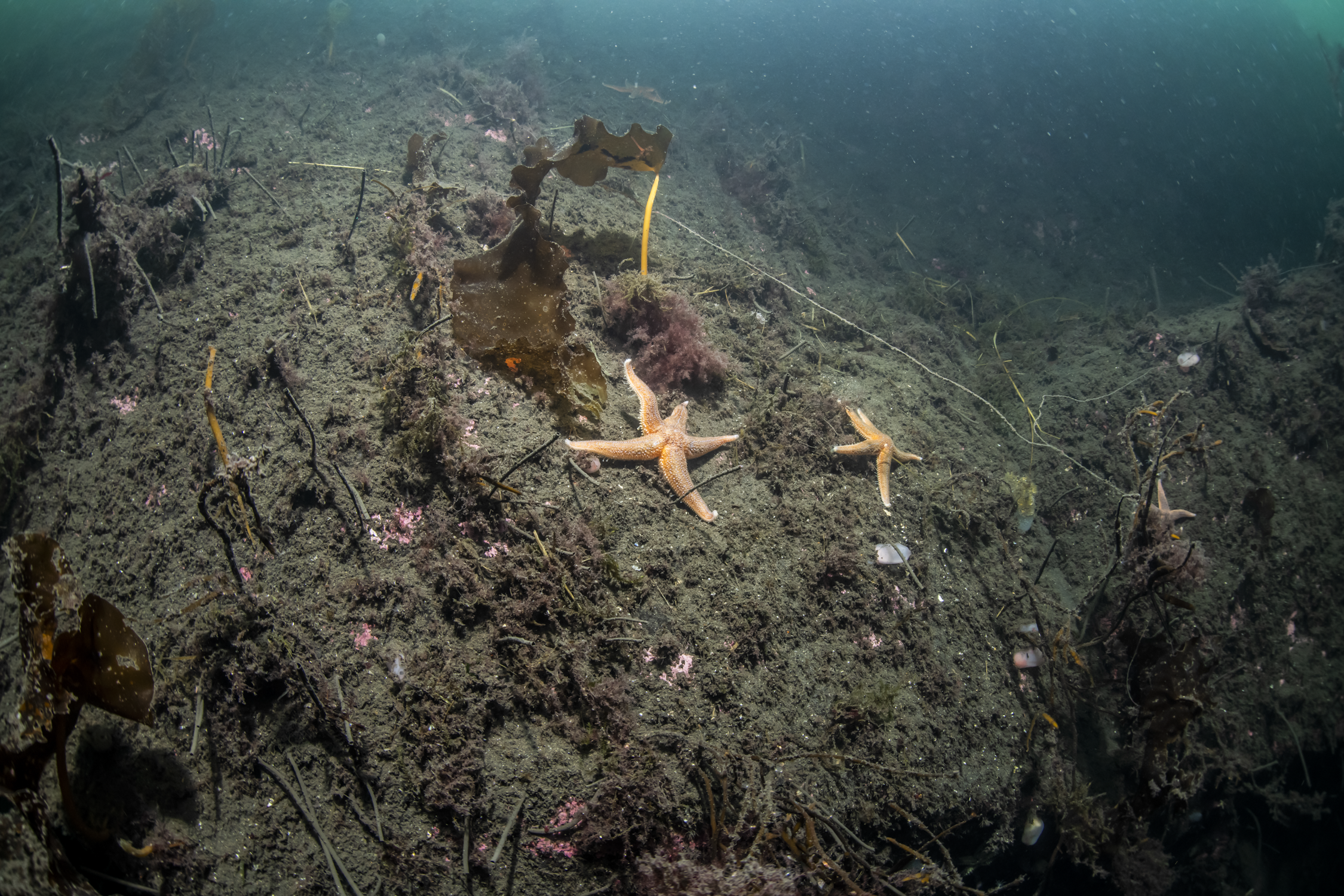 Jøssingfjord 20-12-2019__01.png