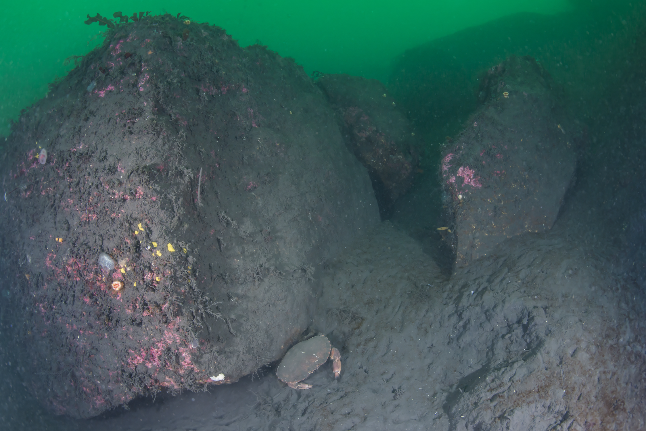 Jøssingfjord 10-06-2016_2-t.png