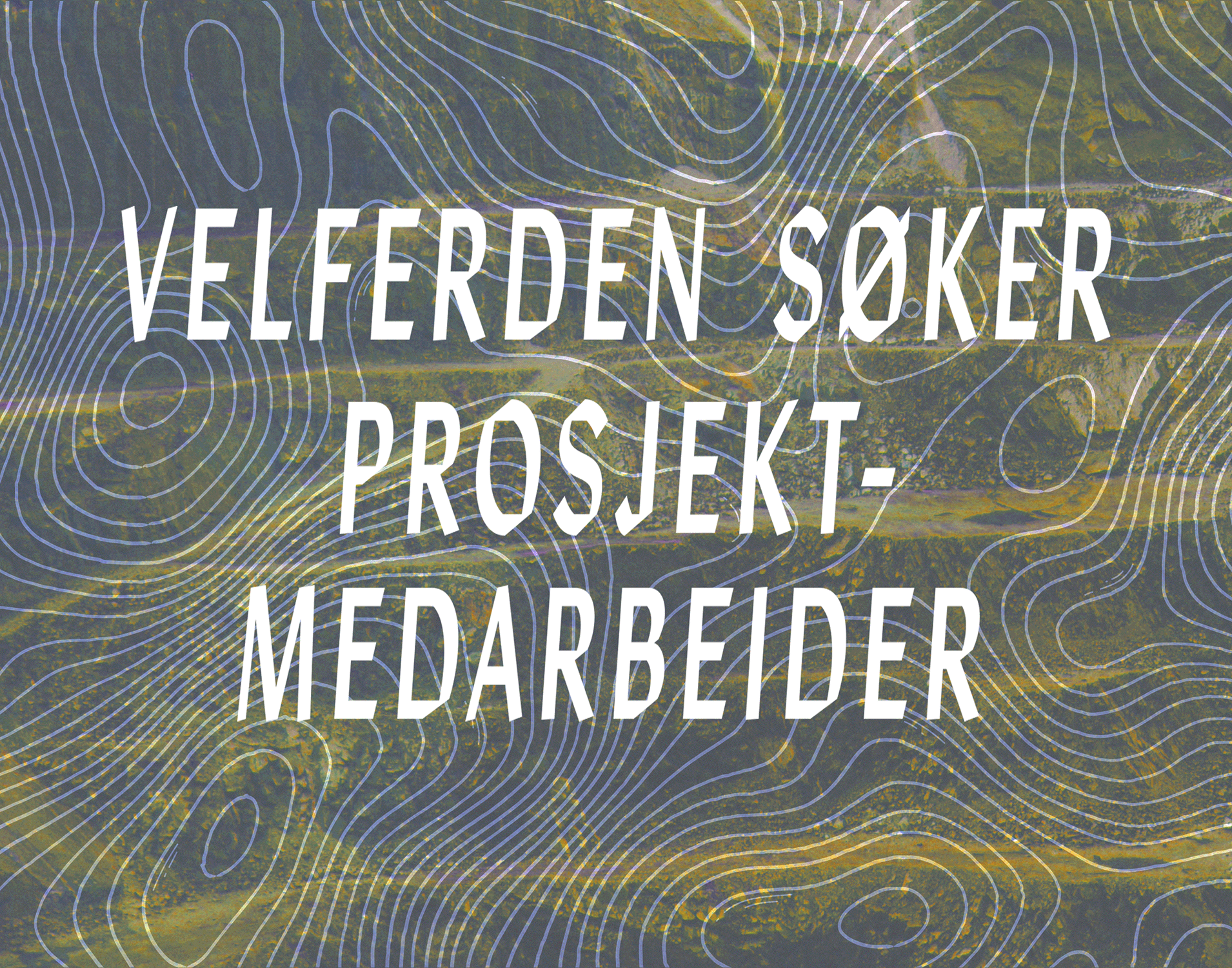 Velferden søker en prosjektmedarbeider med god markedsføringserfaring mellom januar og mars 2026!&nbsp;