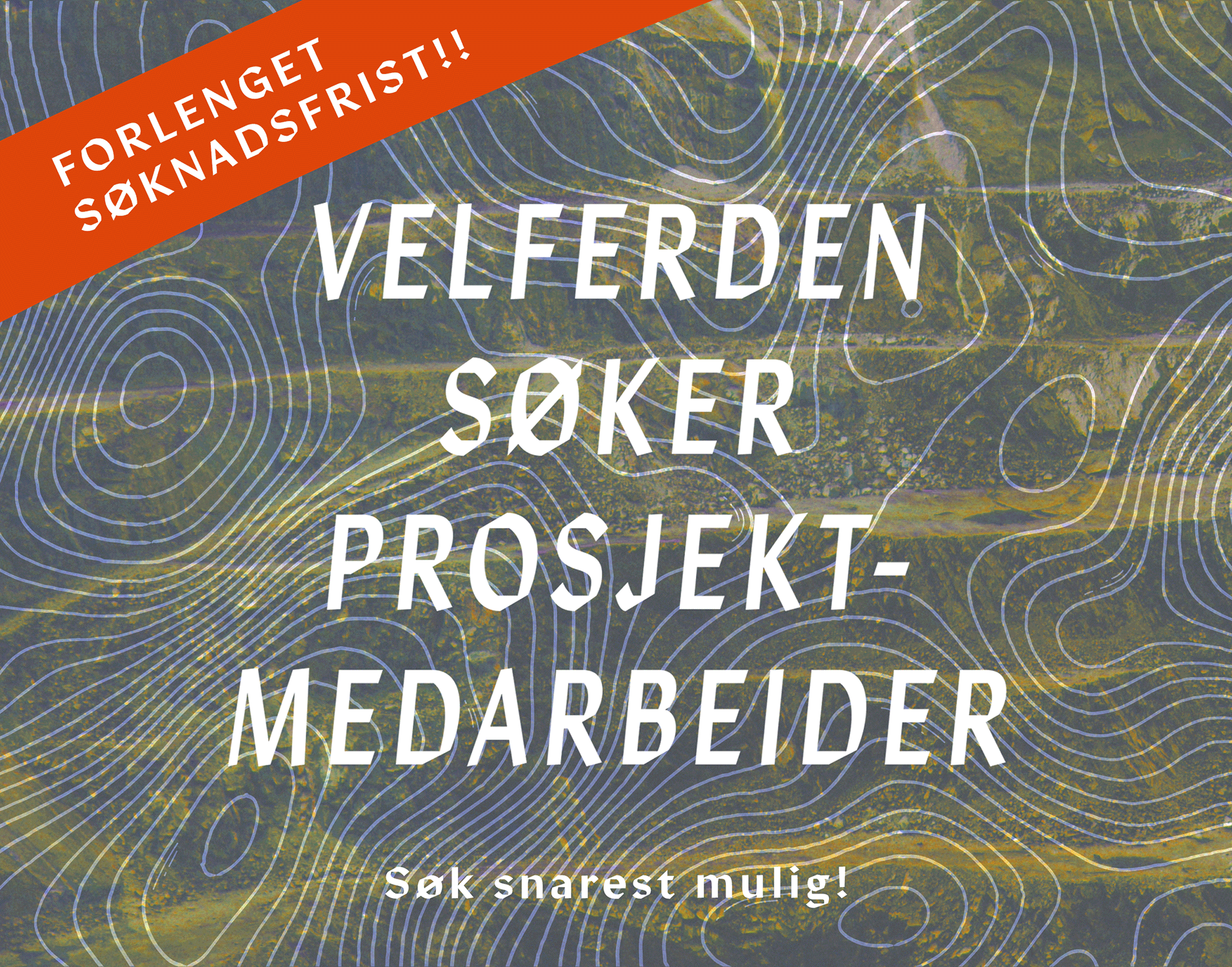 Velferden søker fremdeles en prosjektmedarbeider med god markedsførings-erfaring mellom januar og mars 2026!&nbsp;