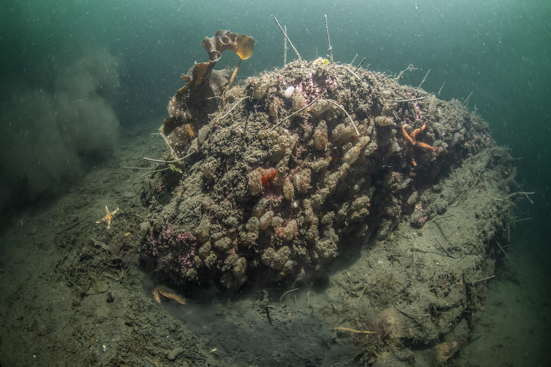 Jøssingfjord 20-12-2019__06.png