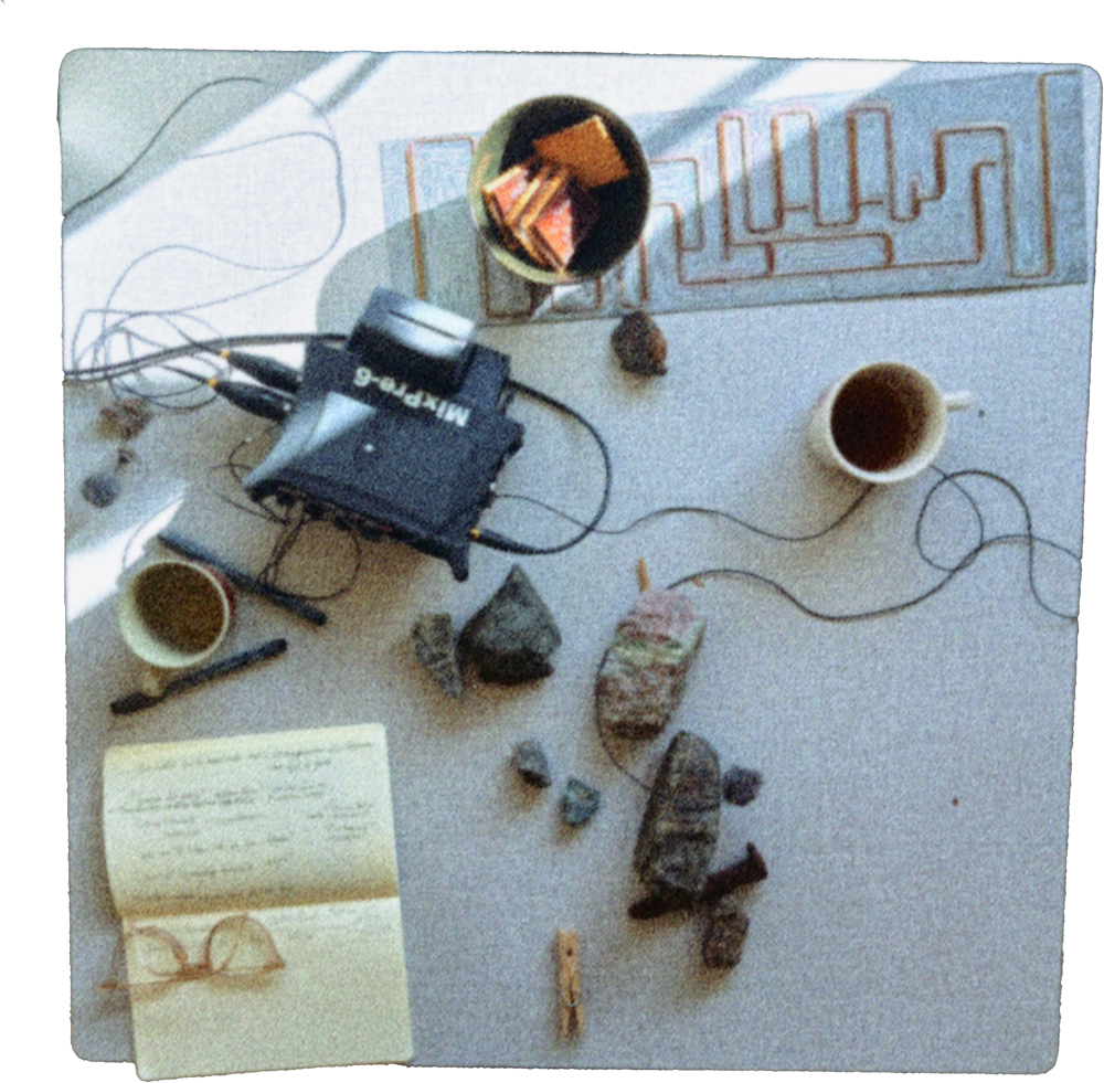 SIRI AUSTEEN - billedkunstner 