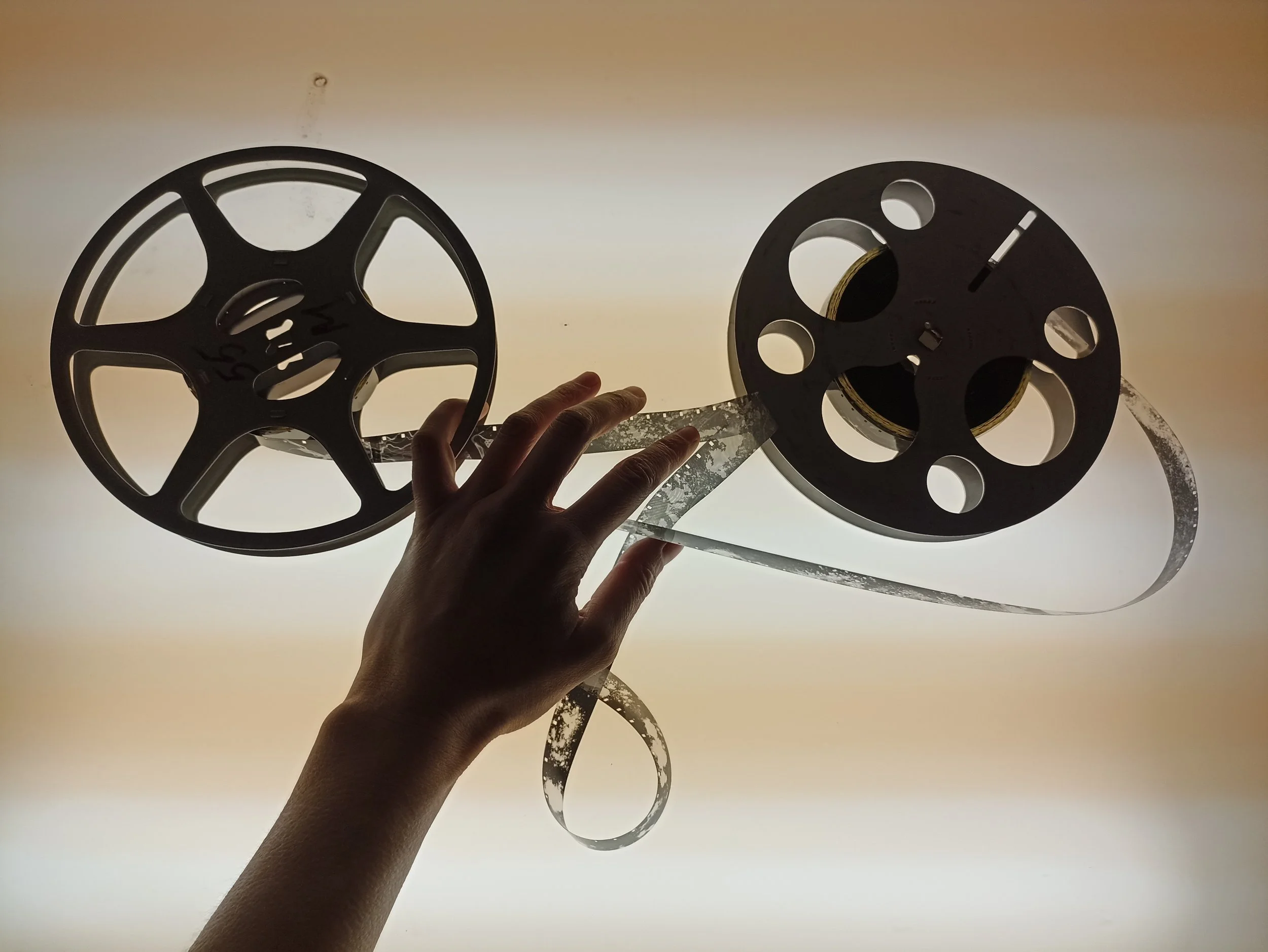 Velferden _taylor 1.jpg