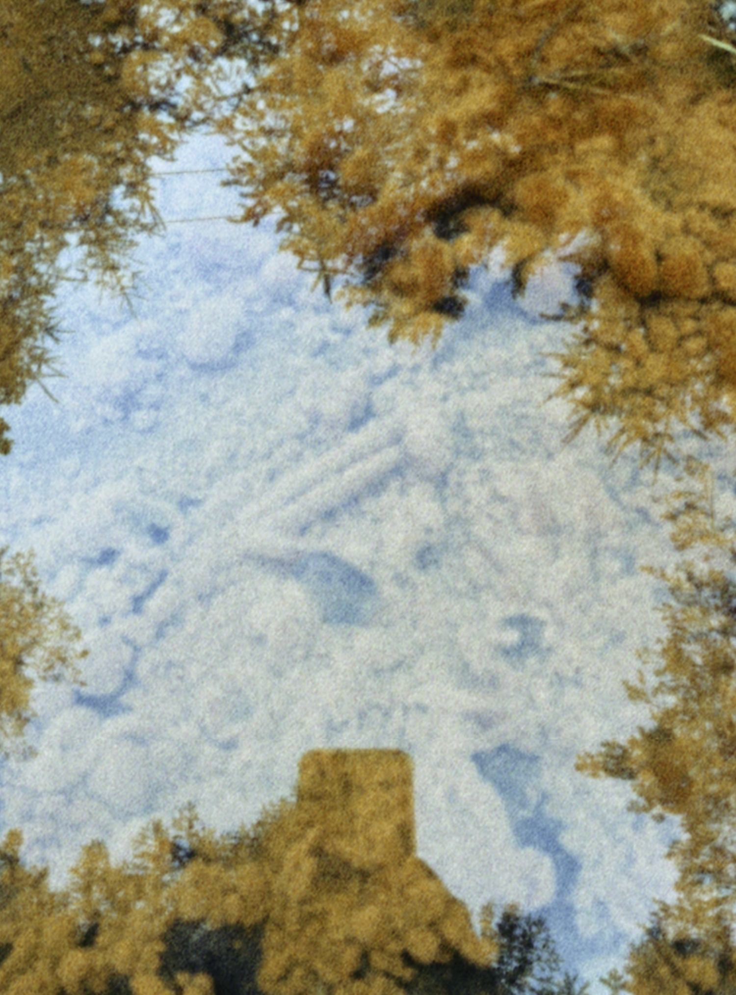 LINDA LAMIGNAN / billedkunstner