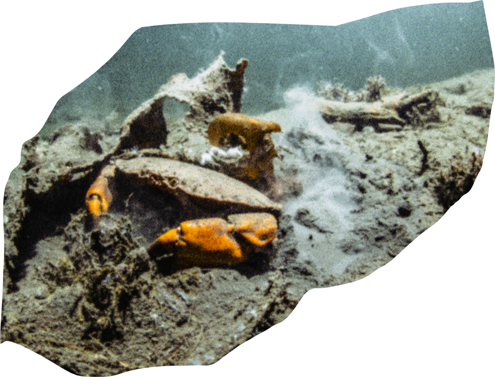 ERLING SVENSEN / marinefotograf