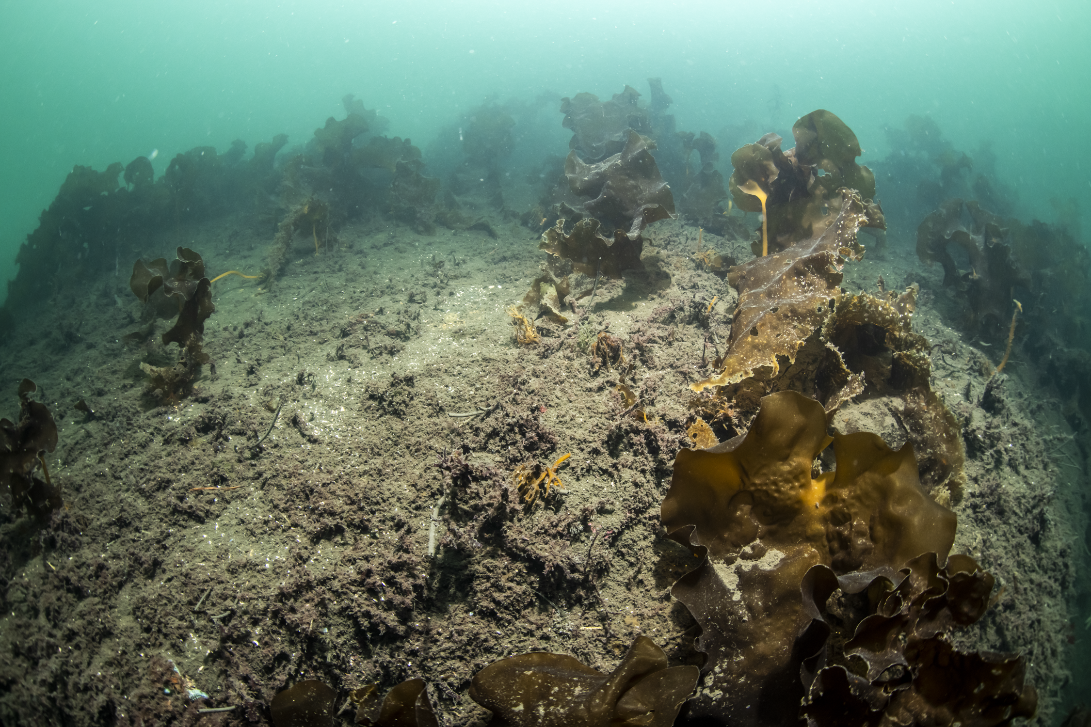 Jøssingfjord 20-12-2019__73.png