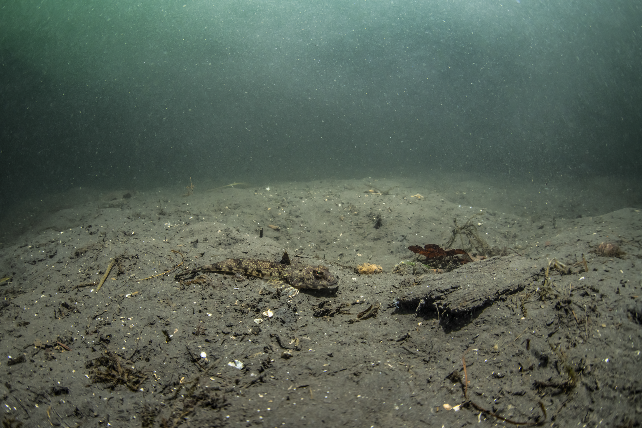 Jøssingfjord 20-12-2019__61.png