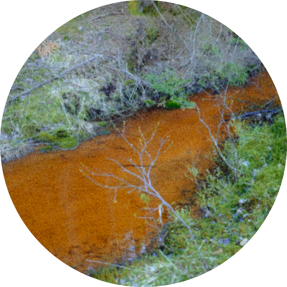 BJØRN-TORE BLINDHEIM / forsker