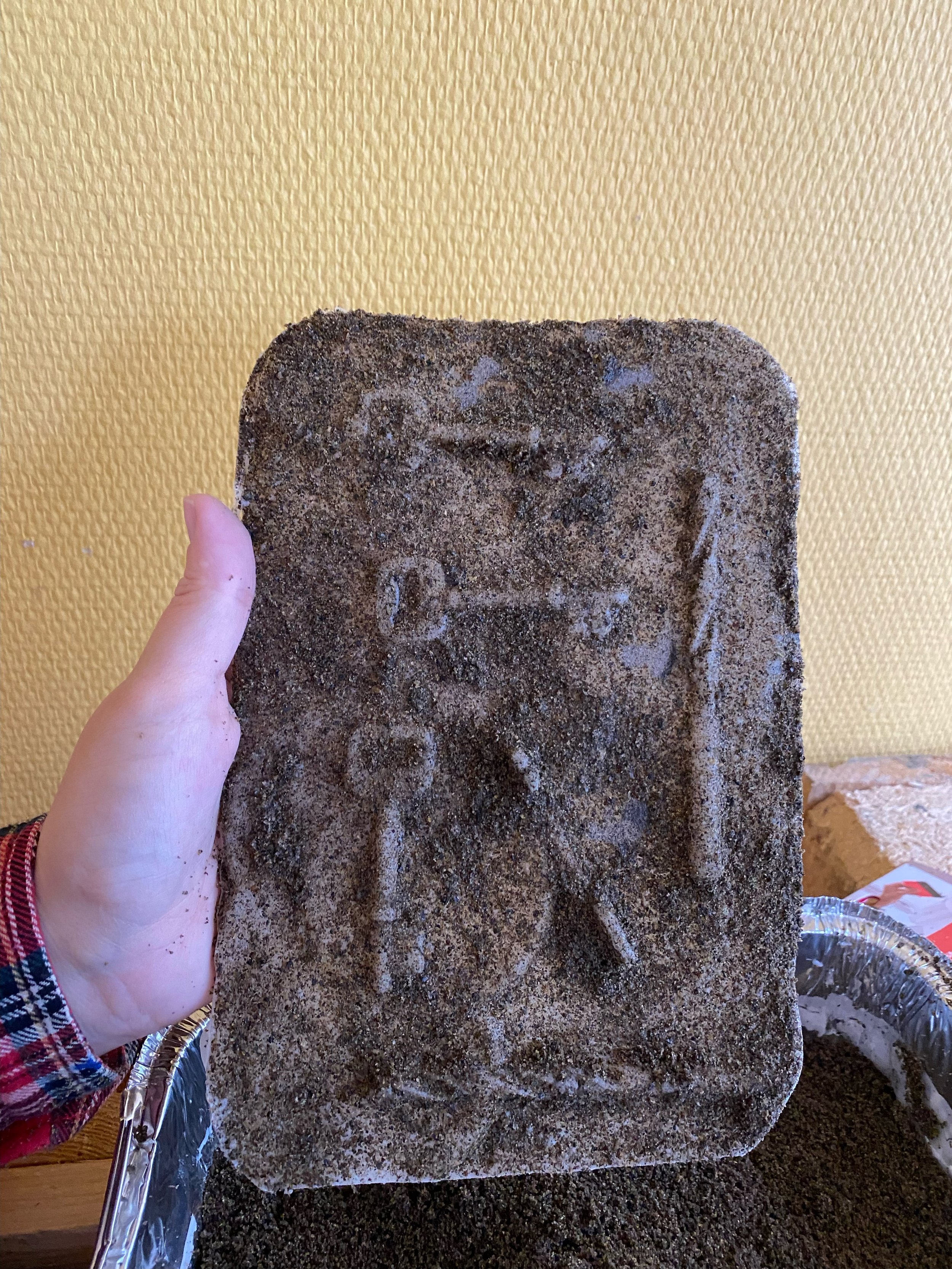 image2.jpeg
