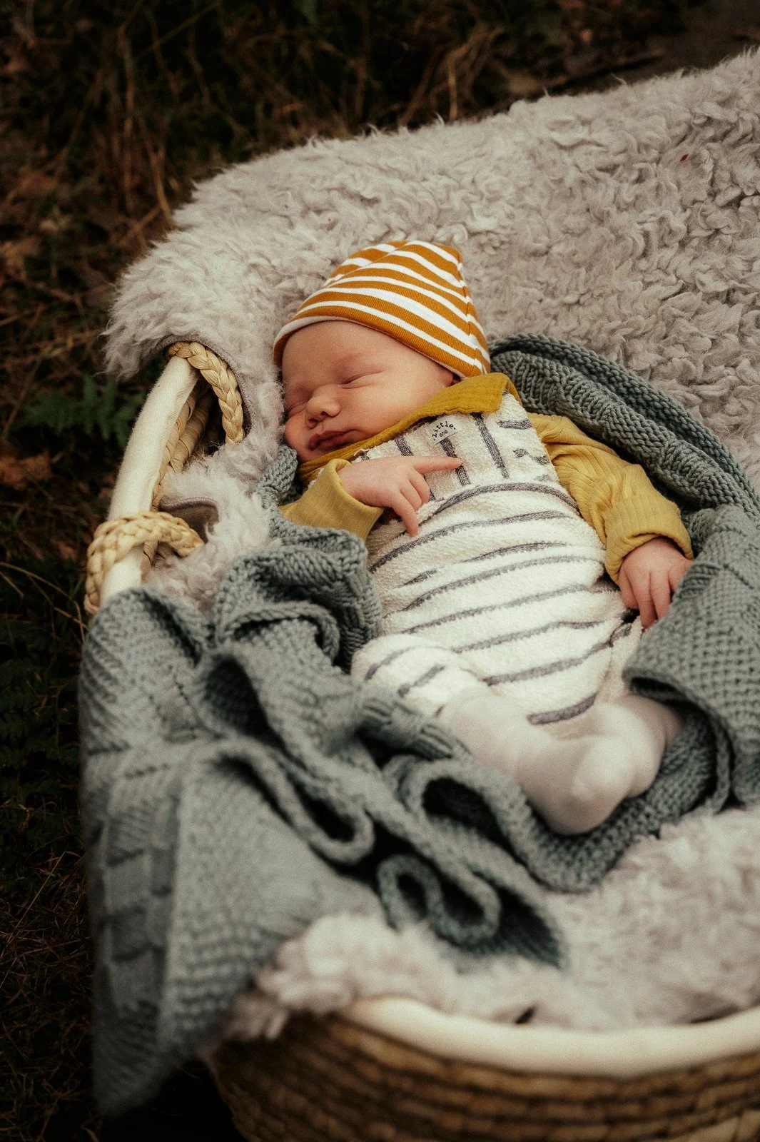 Ein Baby im Körbchen mitten im Wald; natürliche Fotografie 