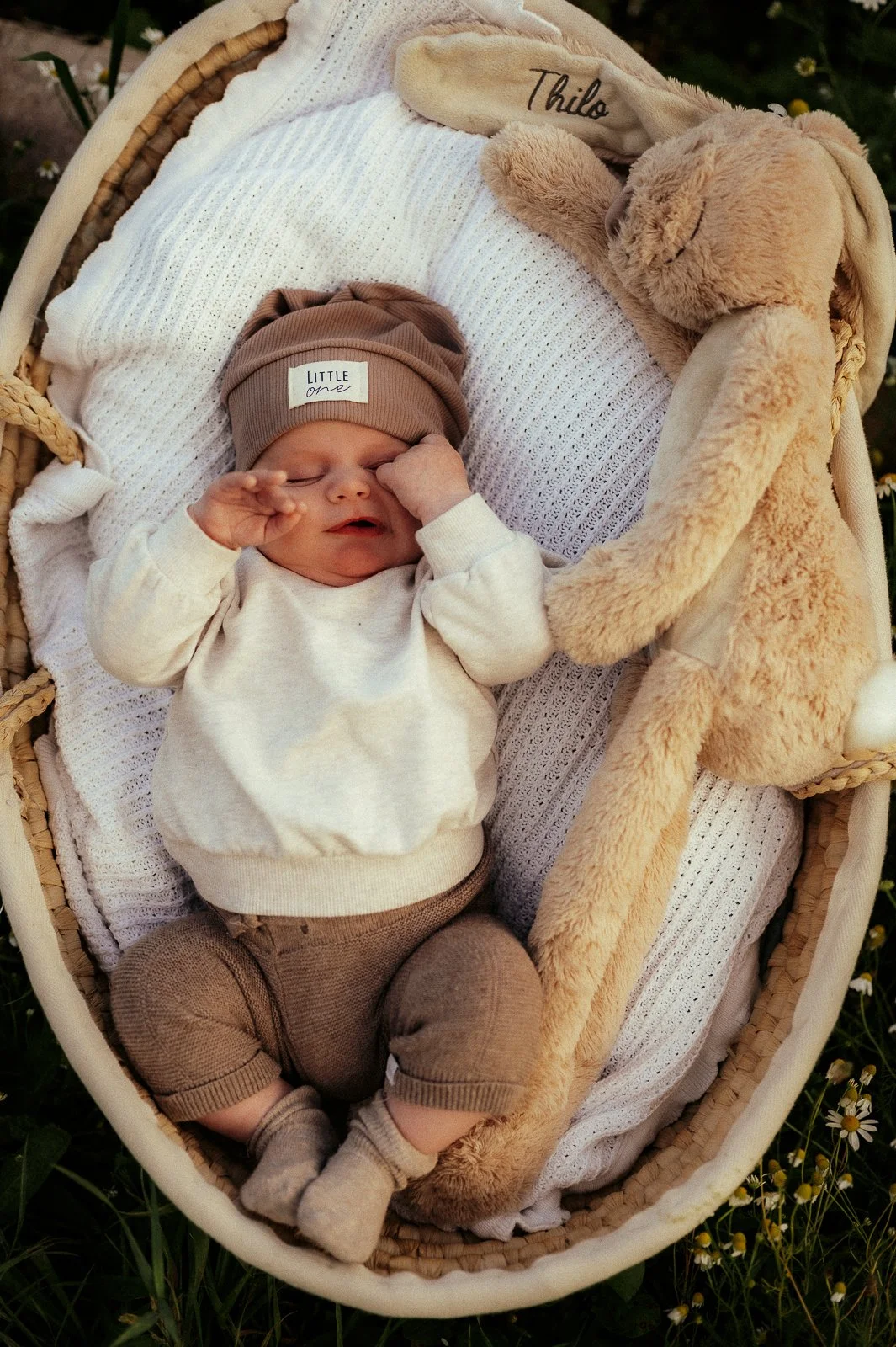 Baby im Körbchen draußen in der Natur; natürliche Familienshootings in Melle und Osnabrück