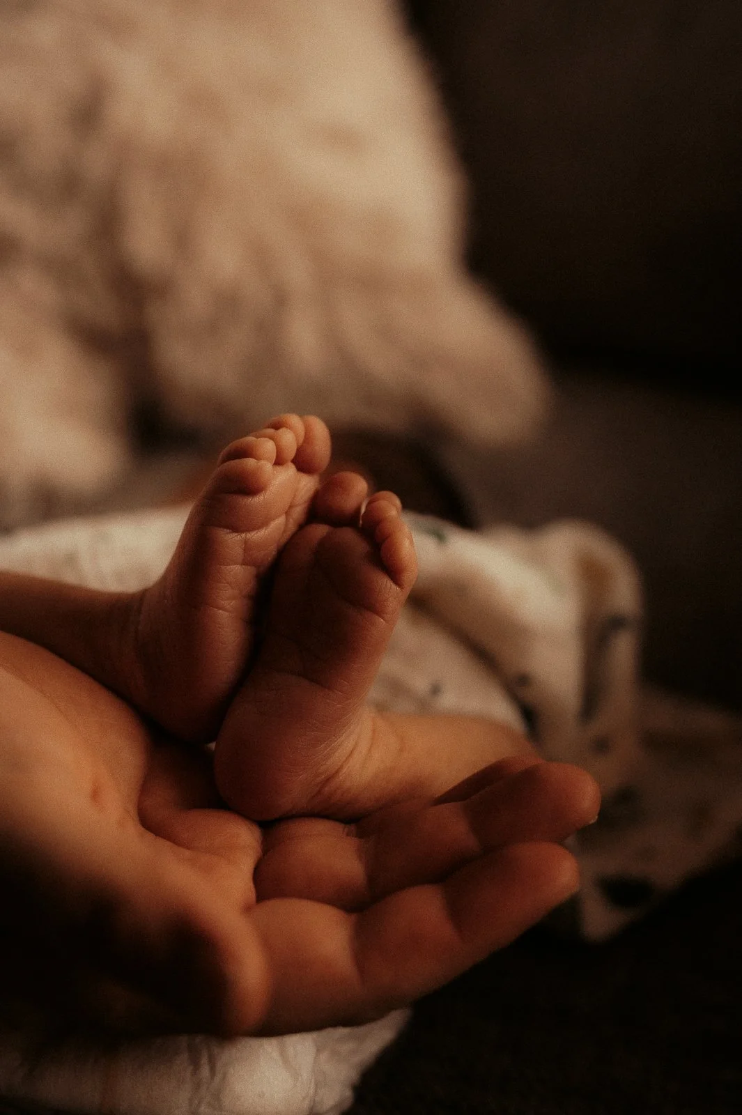 Babyfotografie-3.jpg