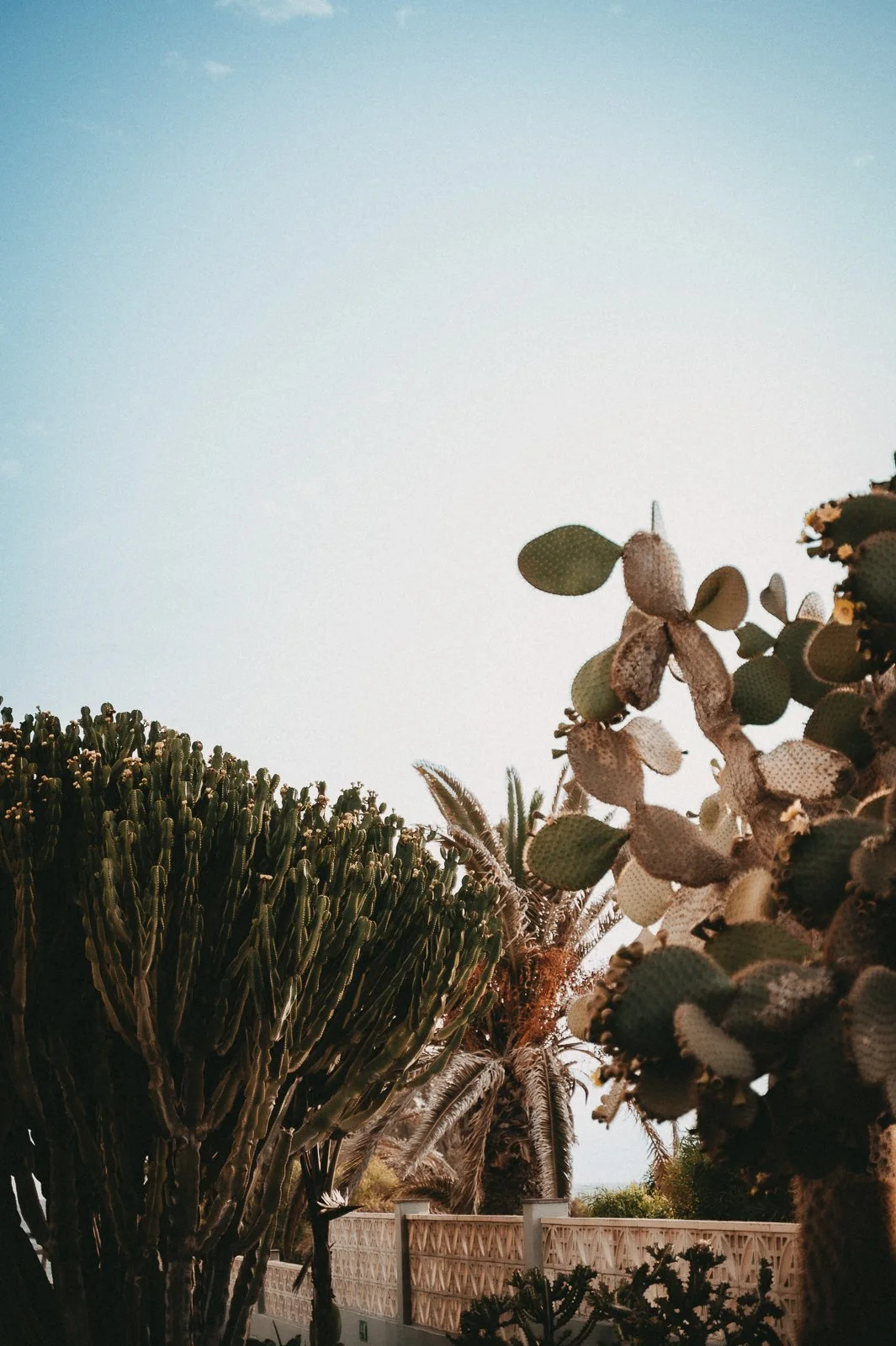 kimjeanninefotografie-278.jpg