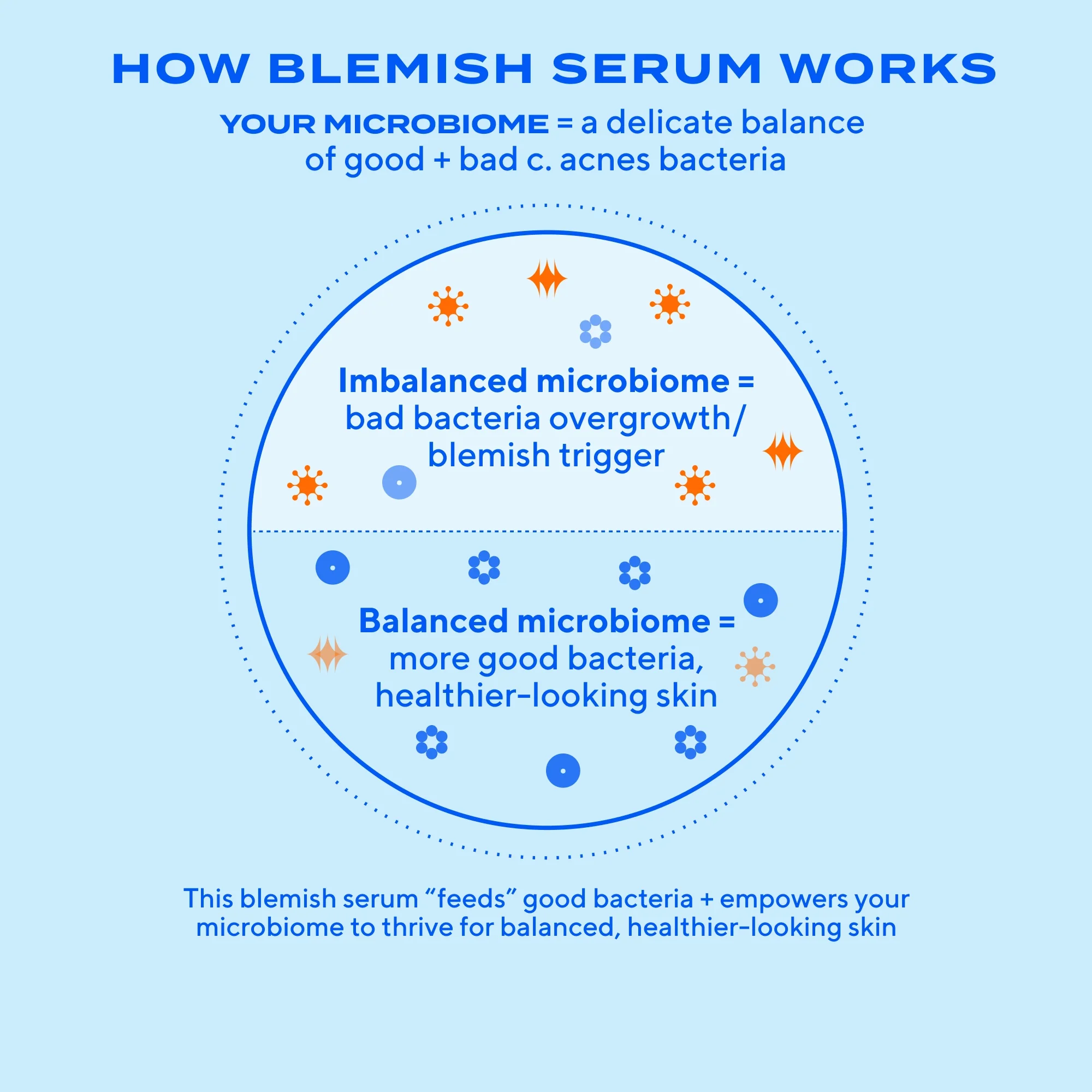 754200_Acne_Serum_Carousel5_Microbiome_V2.webp