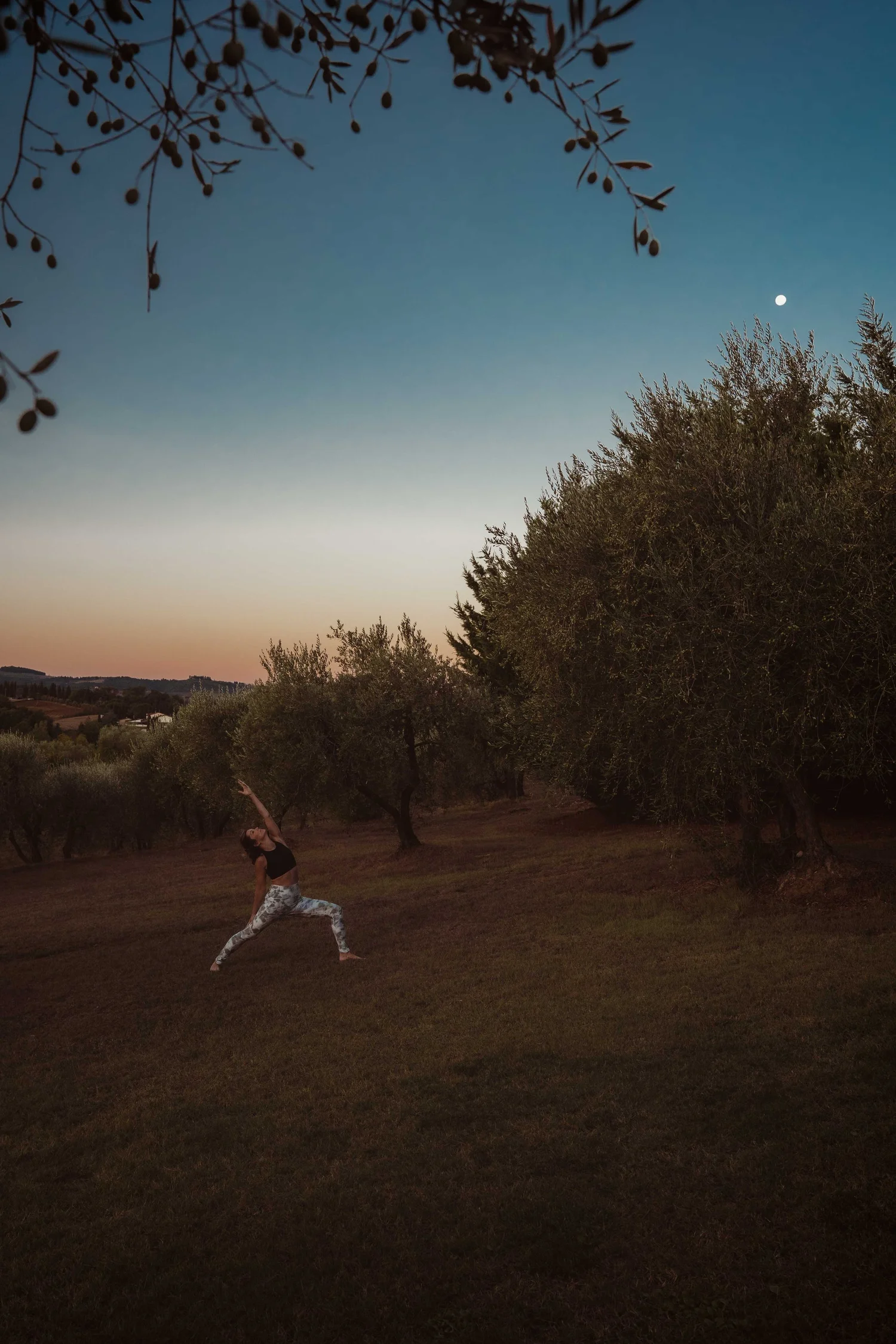 Marella beim Yoga zwischen Bäumen in der Abenddämmerung