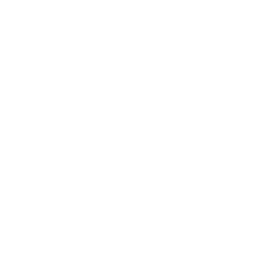 Fondation Domus