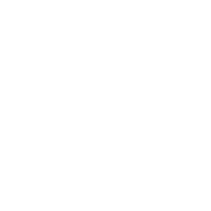 FLASH