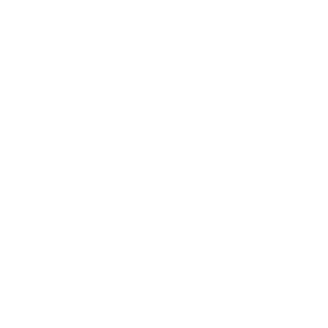 mobility lab