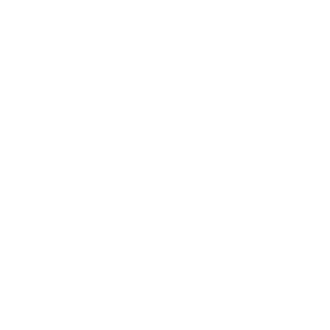 Electroziles