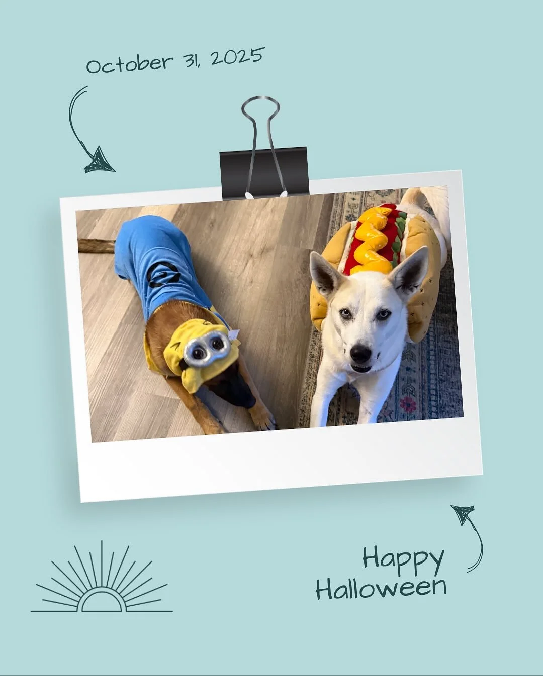 Happy Halloween from our spooky coworkers 🩵☀️🐶🐶 

#halloween #caliandko