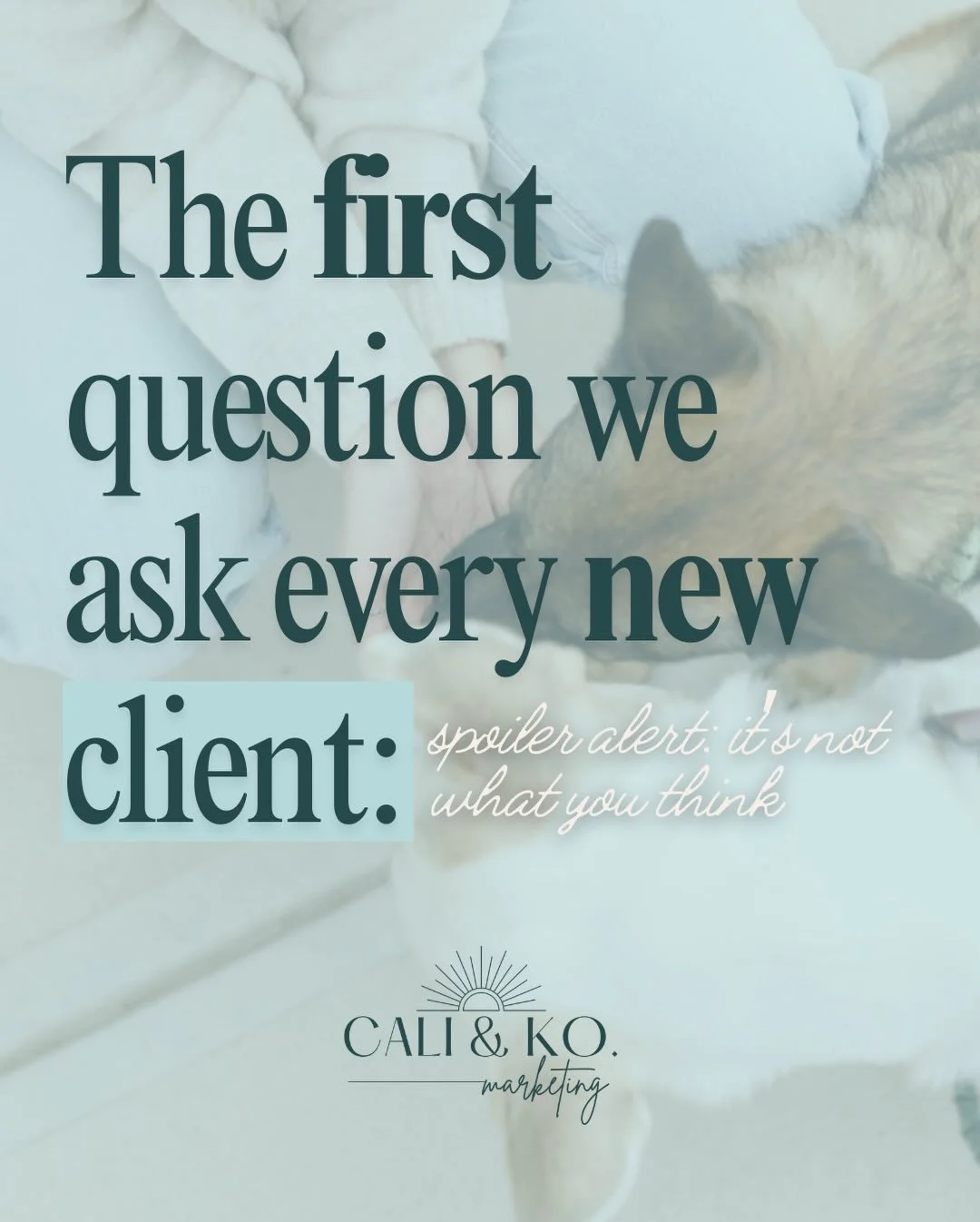 Before we touch visuals, we get very clear on one thing:

What role the brand needs to play in the next stage of the business.

Because a brand built to:
&ndash; attract better clients
&ndash; support price increases
&ndash; prepare for scale
&ndash;