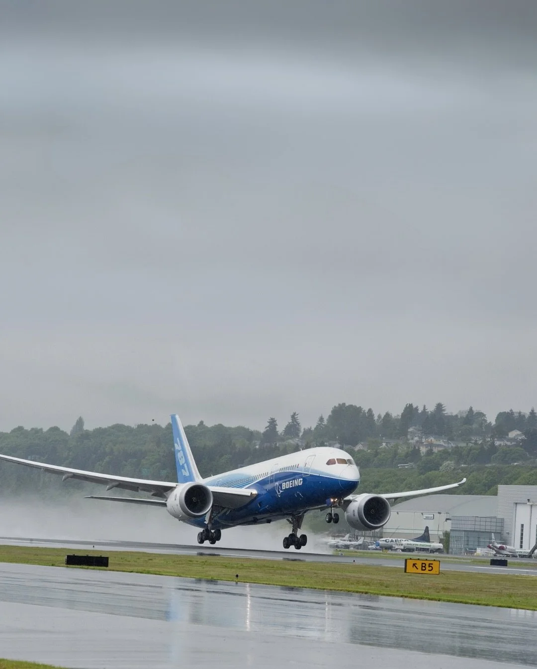 Meet the Boeing 787-8, also known as the&nbsp;Dreamliner, is more than just an aircraft&mdash;it&rsquo;s a revolution in the skies. Did you know it&rsquo;s made primarily of lightweight composite materials, making it 20% more fuel-efficient than simi