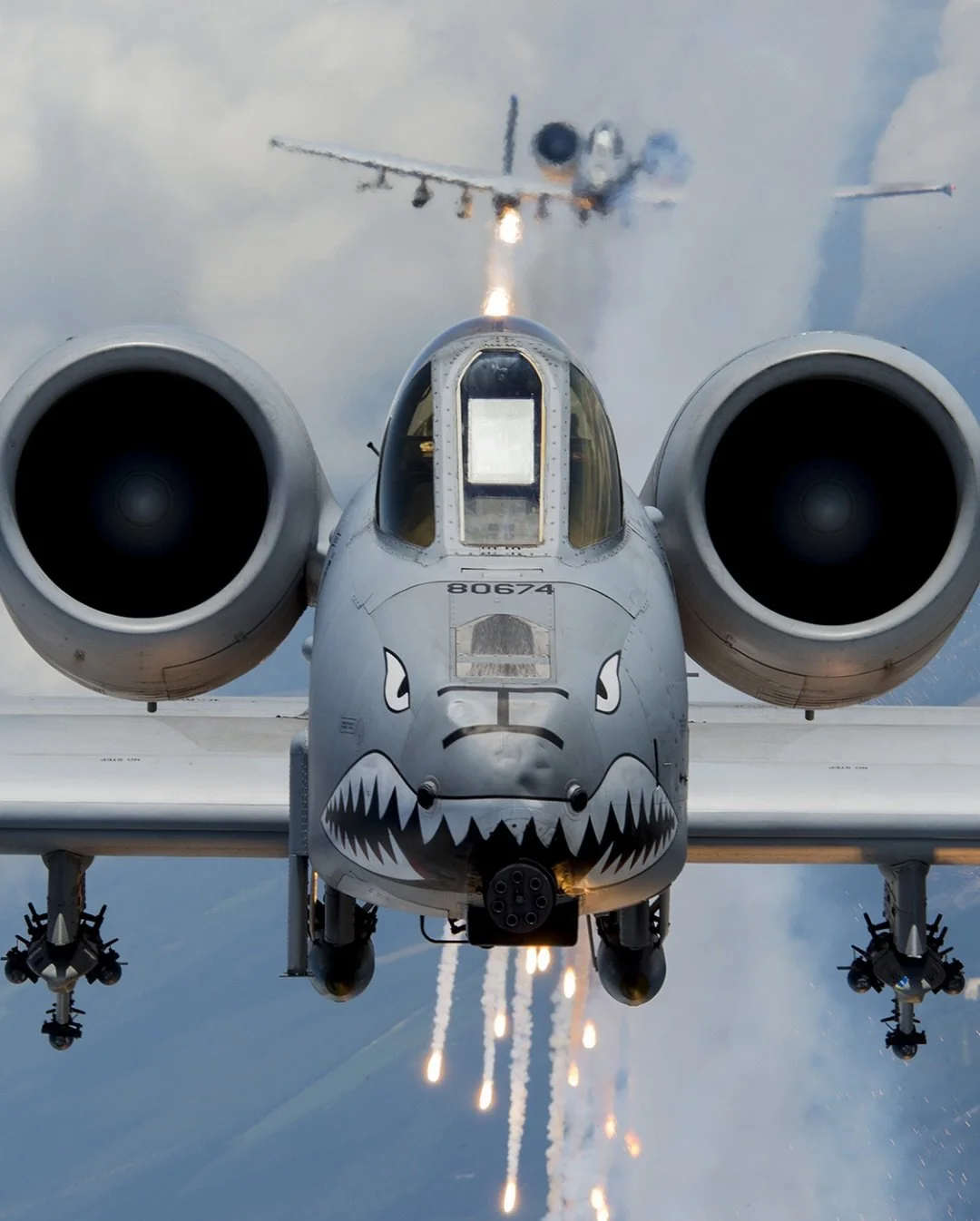 Meet the A-10 Thunderbolt AKA 
Warthog&mdash;a jet built around a GUN. Its iconic GAU-8 Avenger rotary cannon fires 30mm rounds at a staggering 3,900 rounds per minute, making it a nightmare for tanks and ground targets.

But the Warthog isn&rsquo;t 