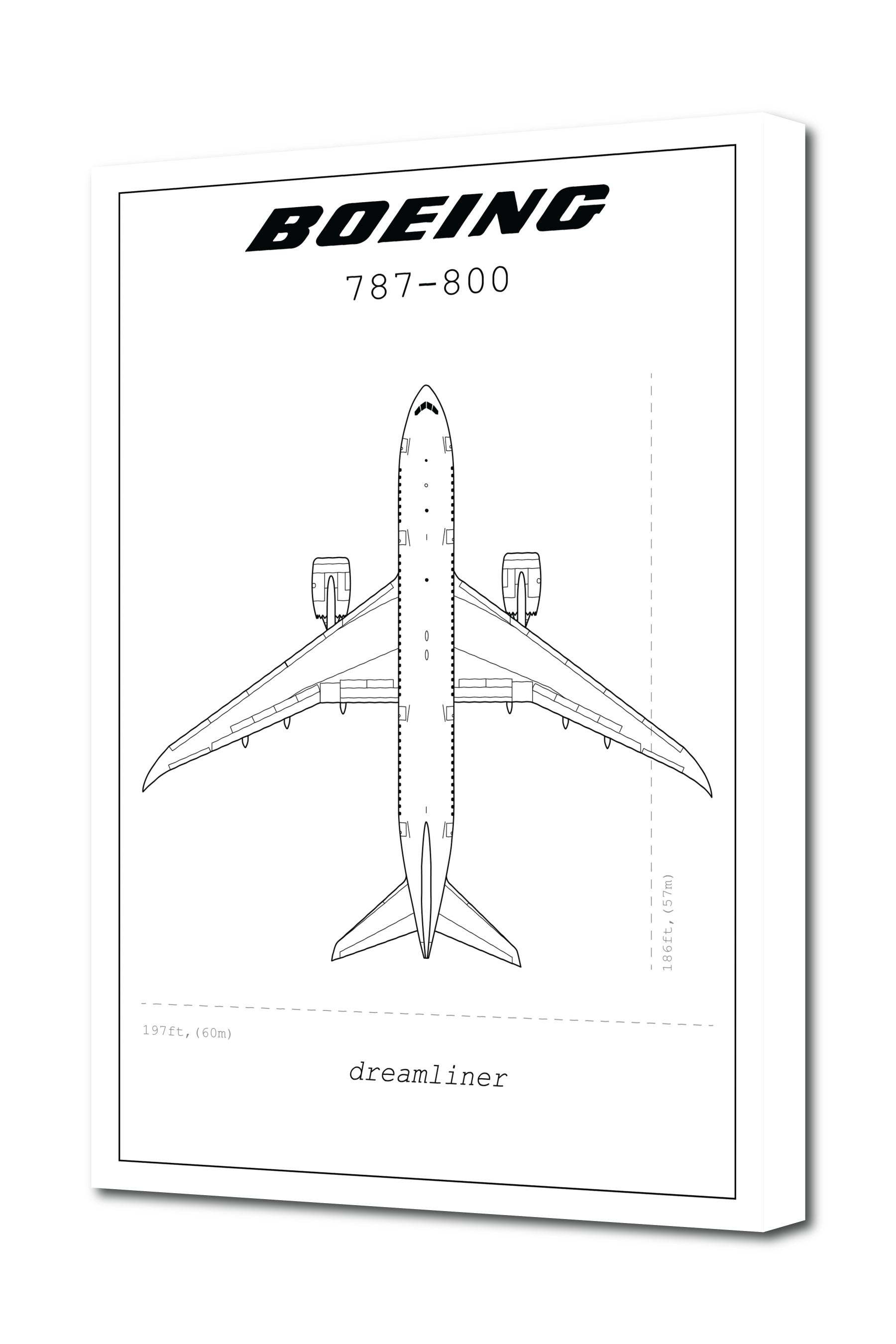 Boeing 787-800