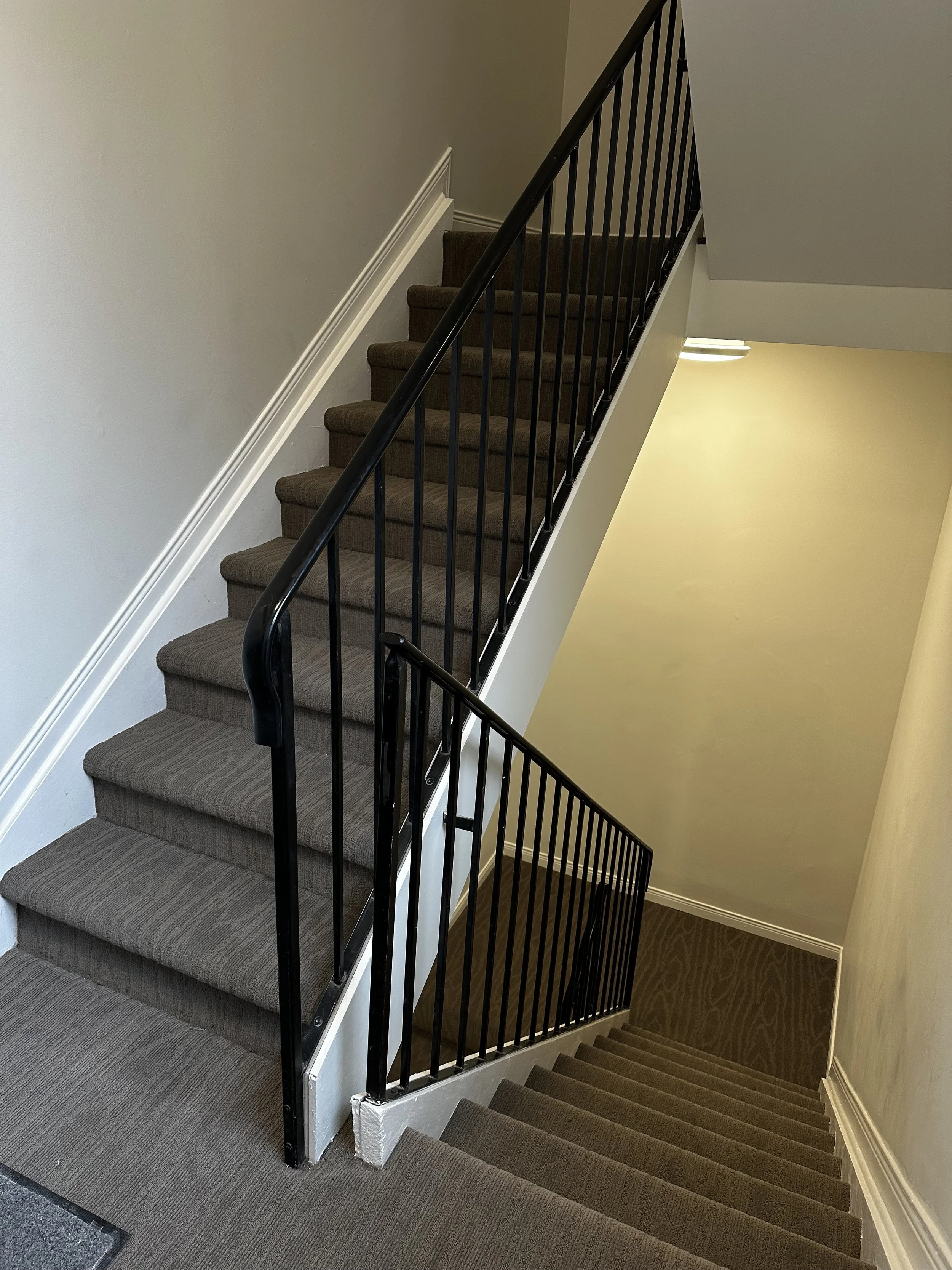 Staircase with a new carpet of a house