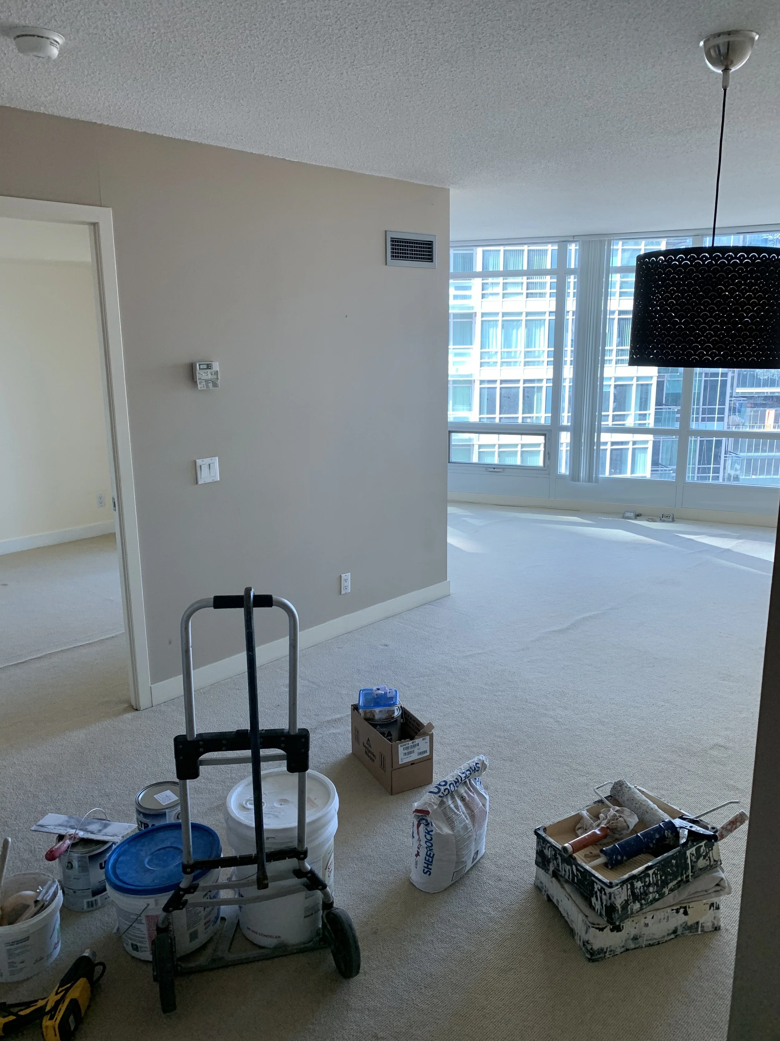 Painted walls before the flooring is removed, old carpets still in place