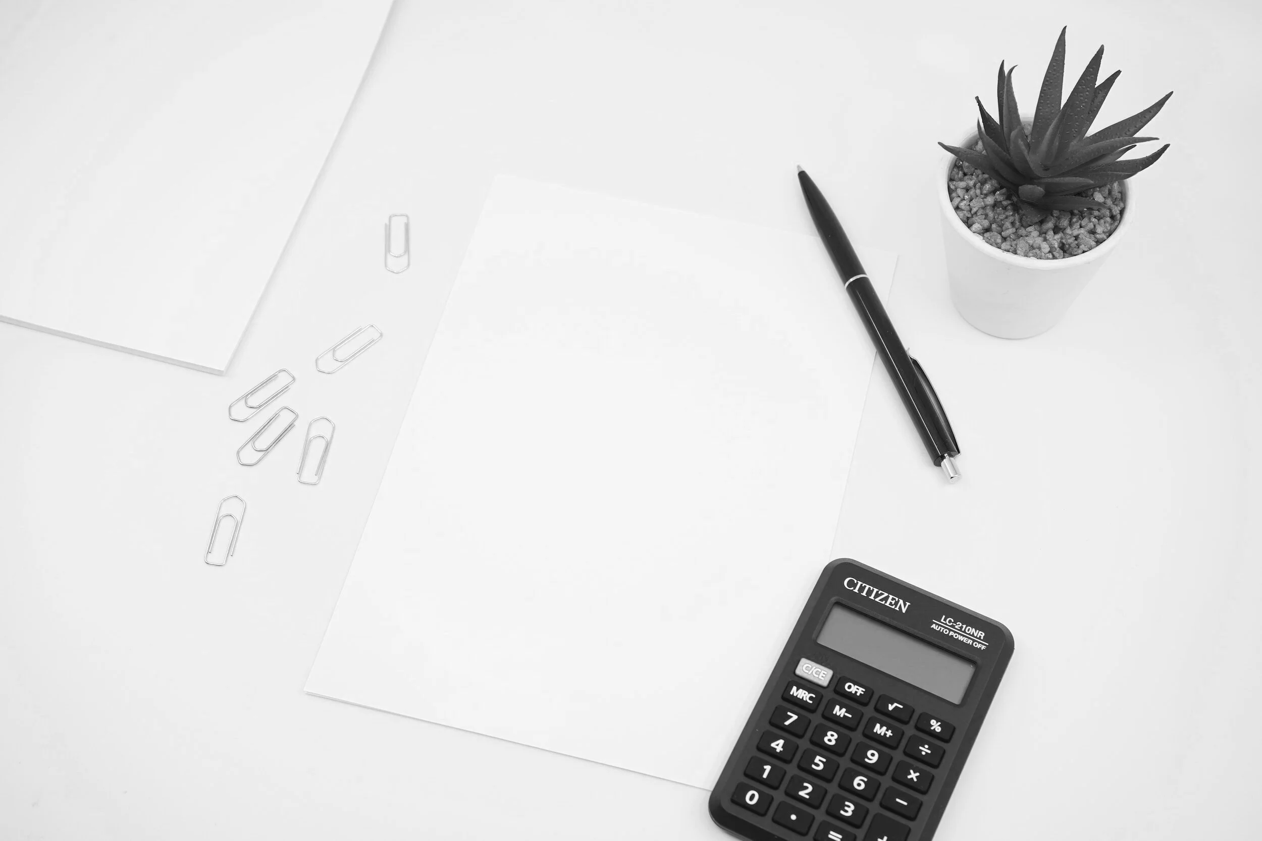calculator and plant background
